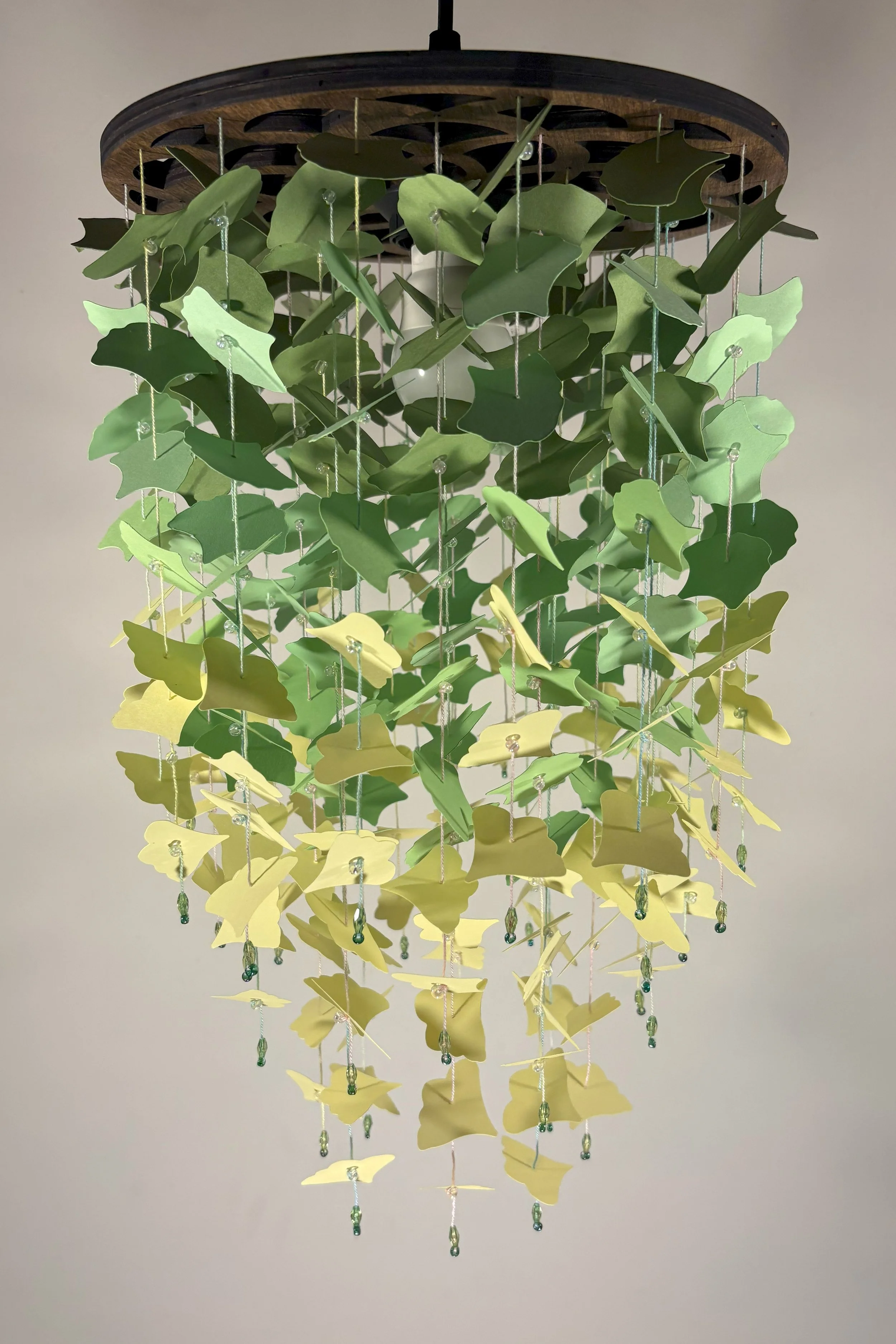 ginkgo 1.jpg