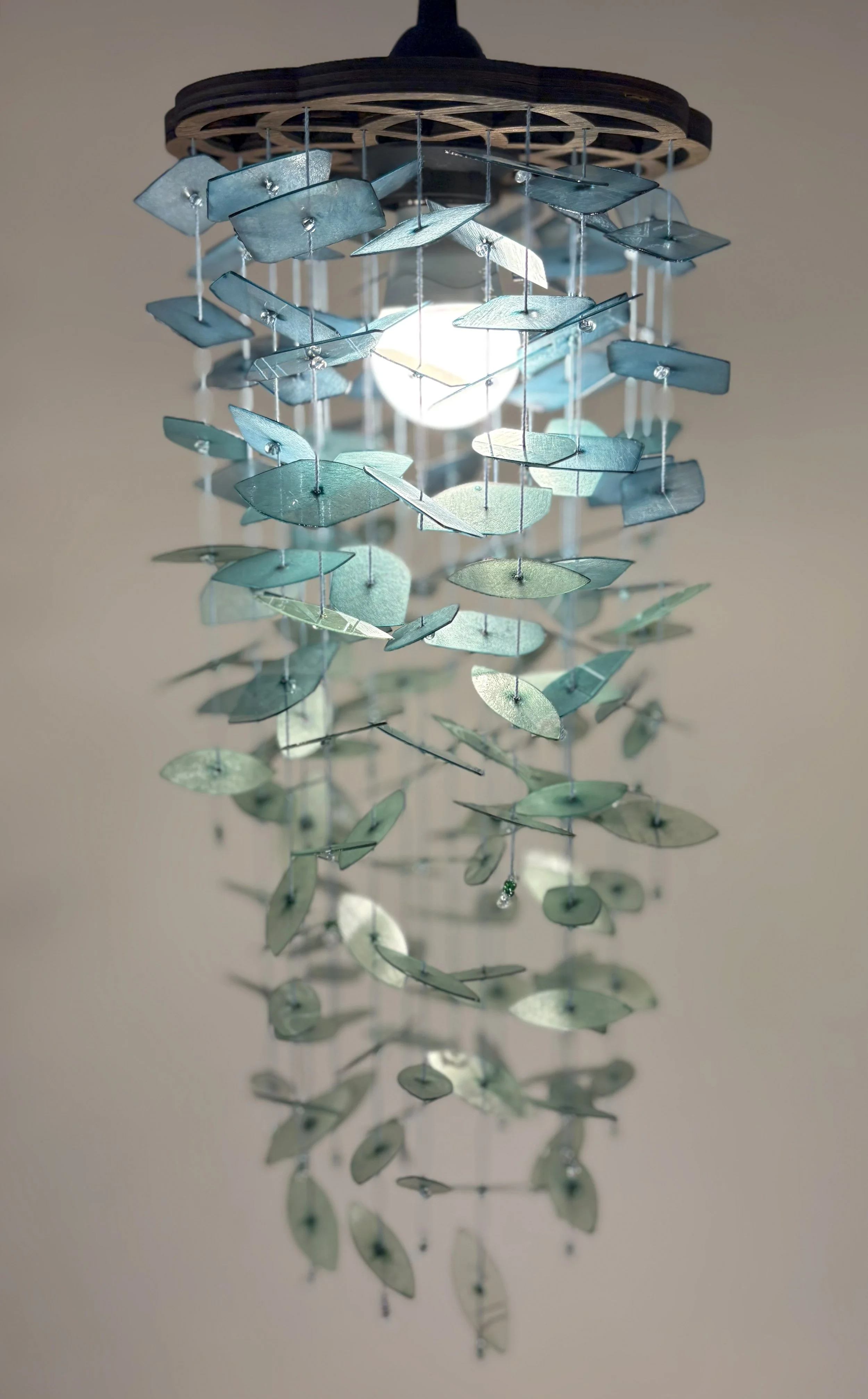 elvolution IV (1).jpg