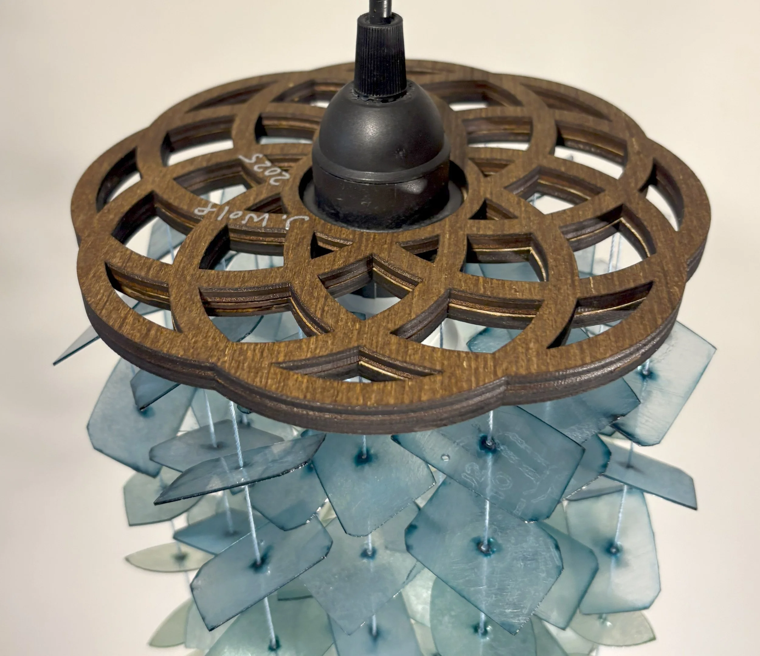 elvolution IV (4).jpg