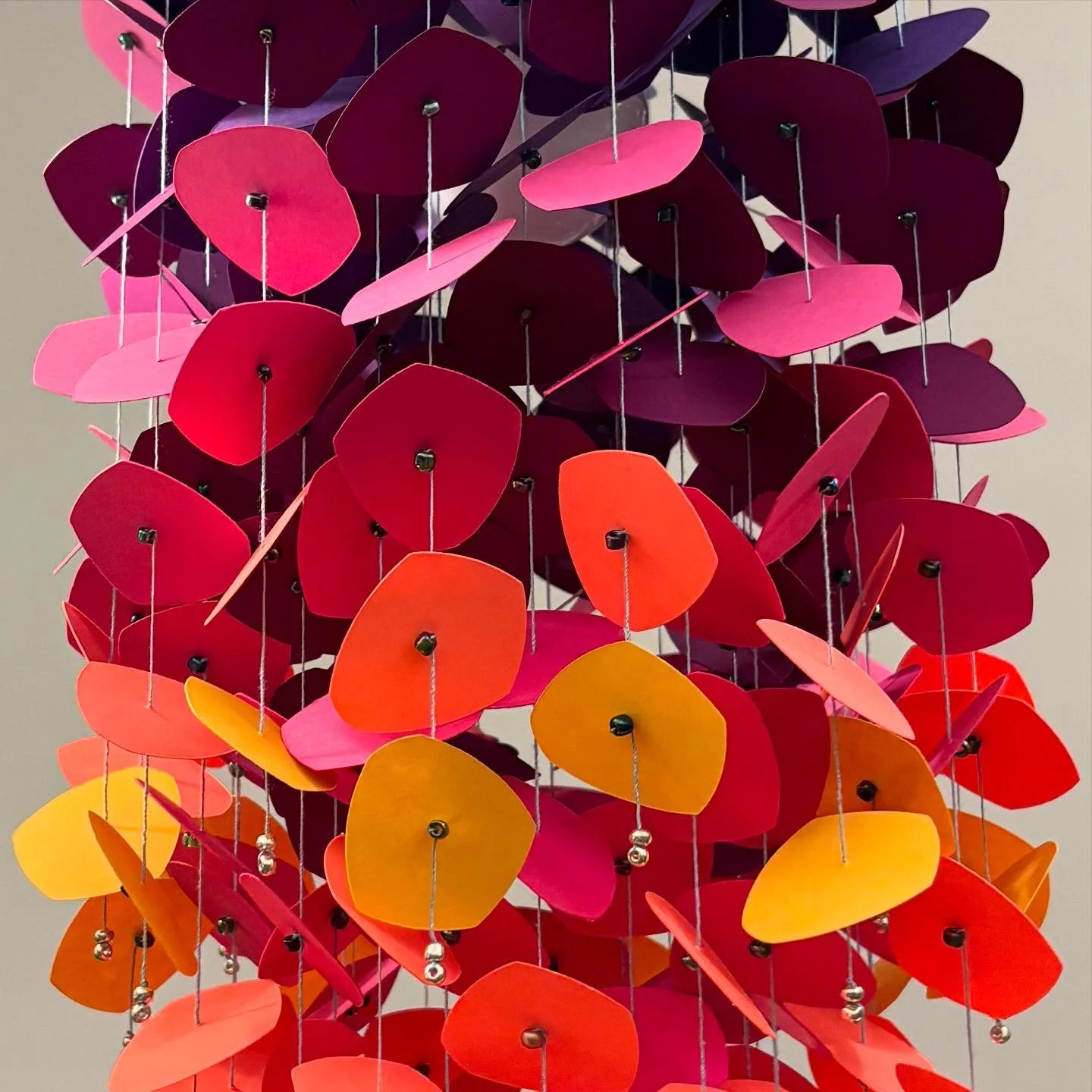 BD772452-8CEC-4561-9FC5-B3DC708669B4 copy.jpg