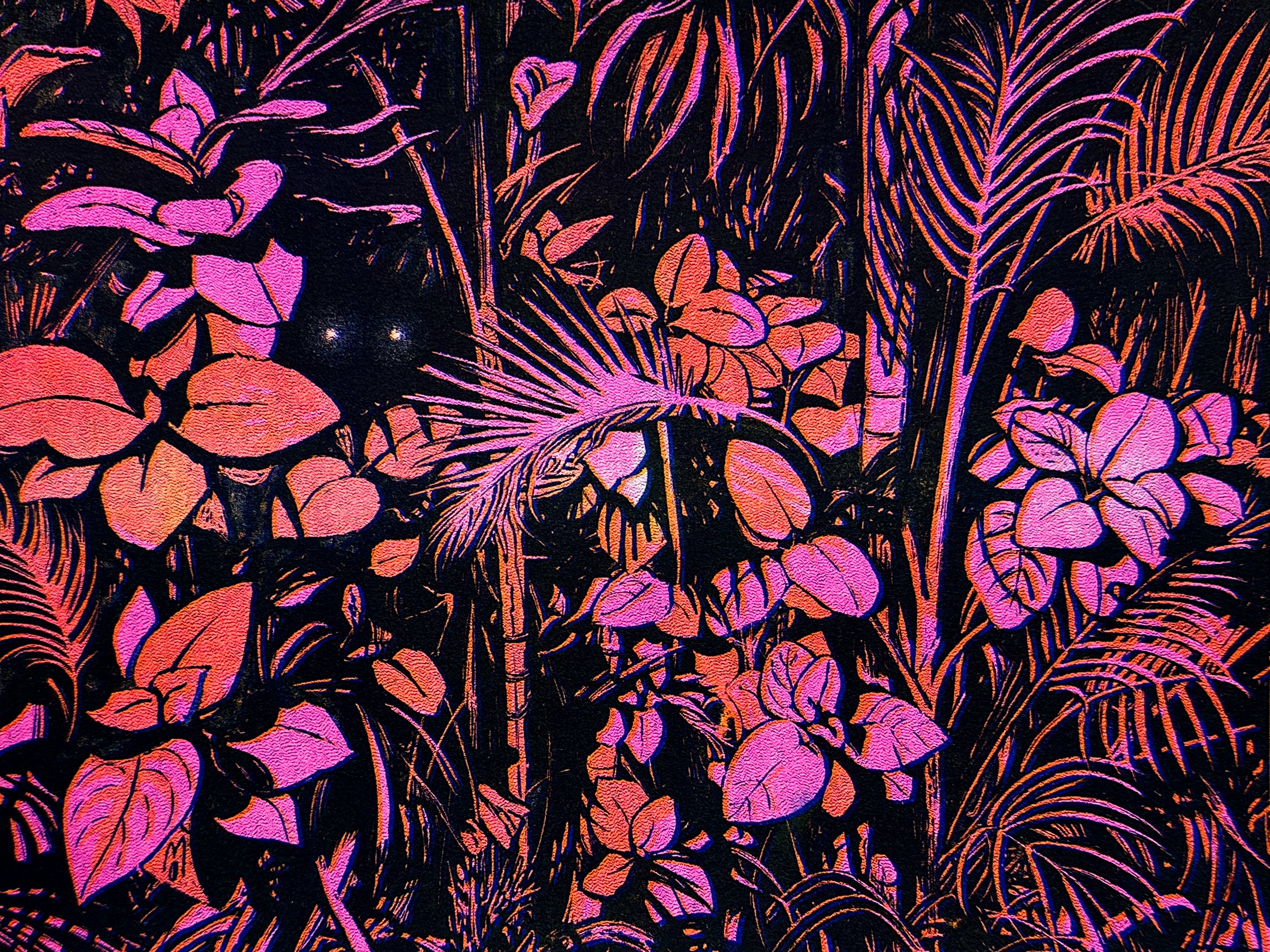 NightPlants_Web.jpg