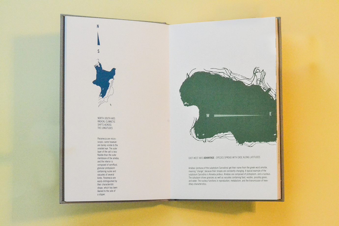 po5-graphic book1-3p.png
