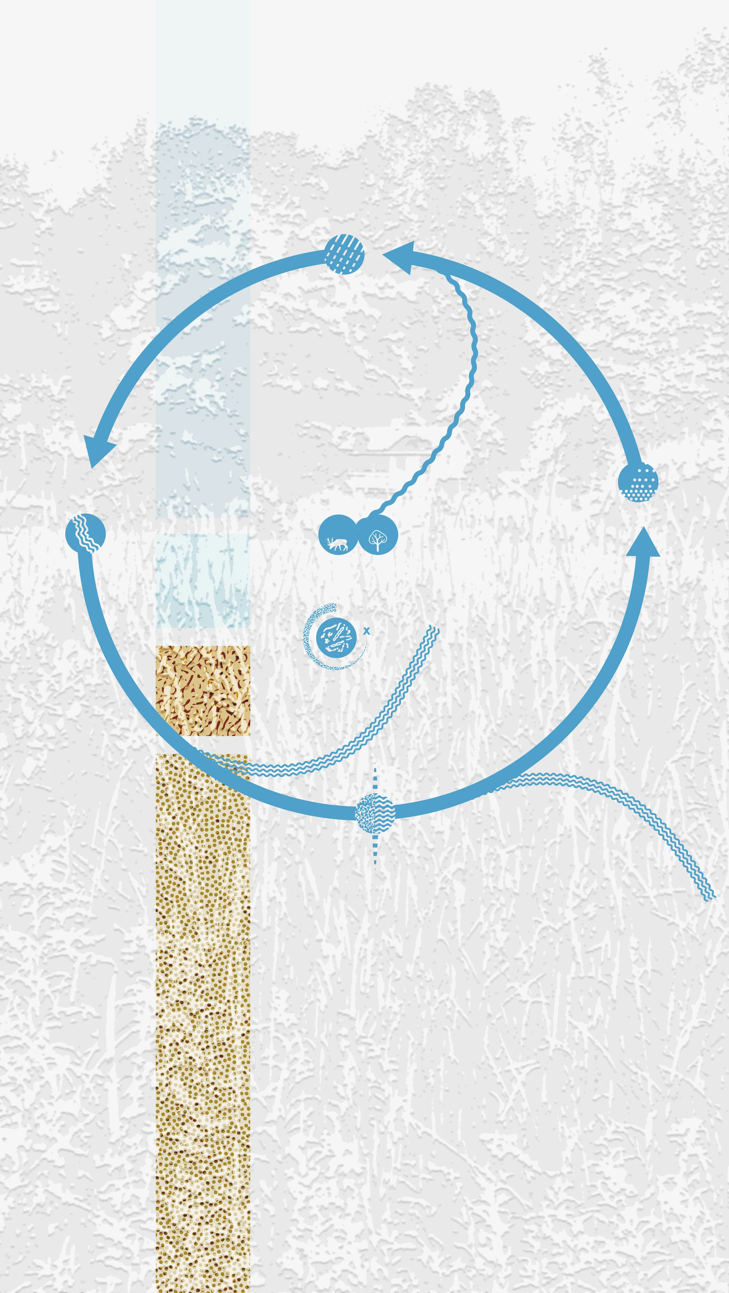 nth-02.jpg