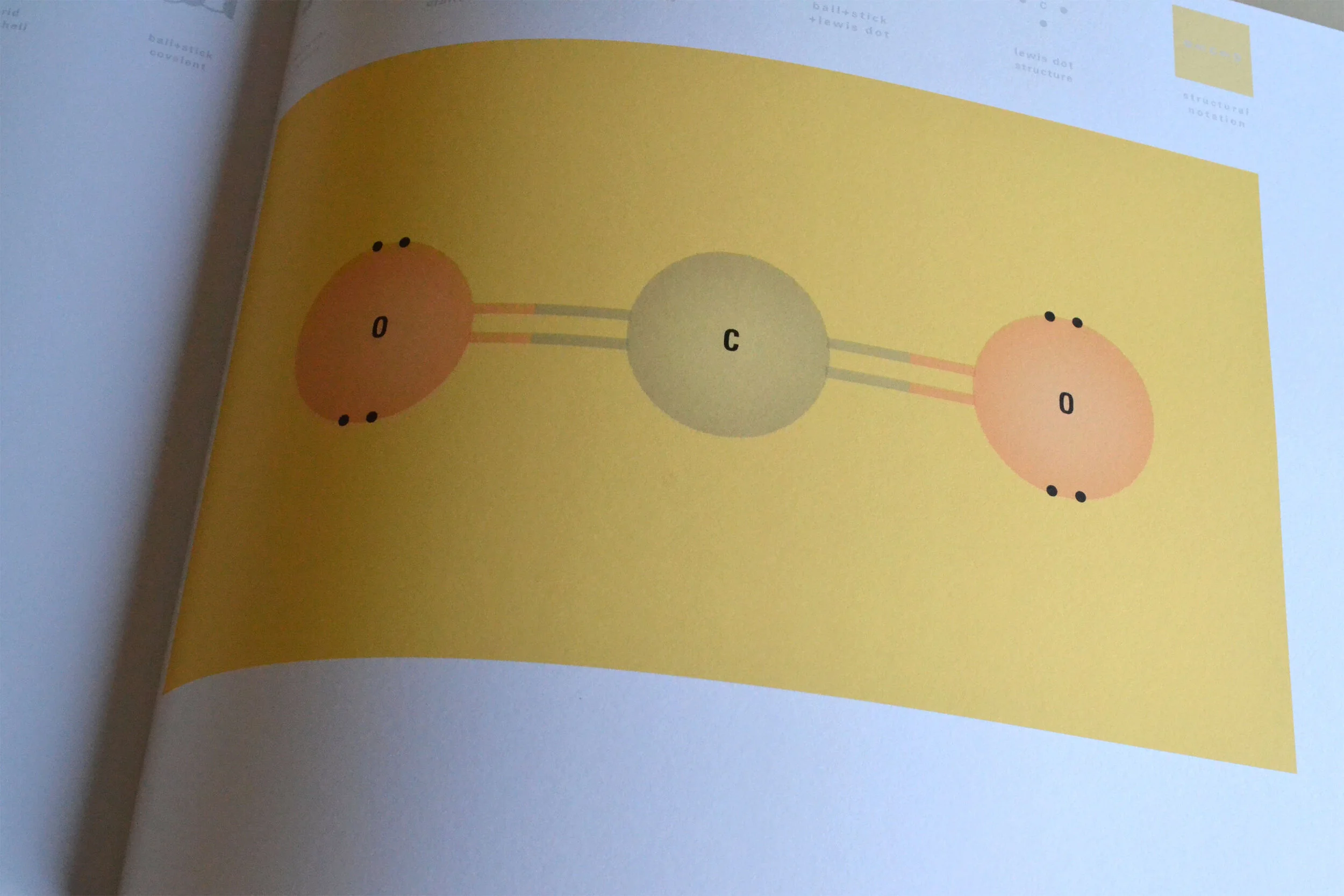 CO-2-pages_0002_DSC_0157.jpg