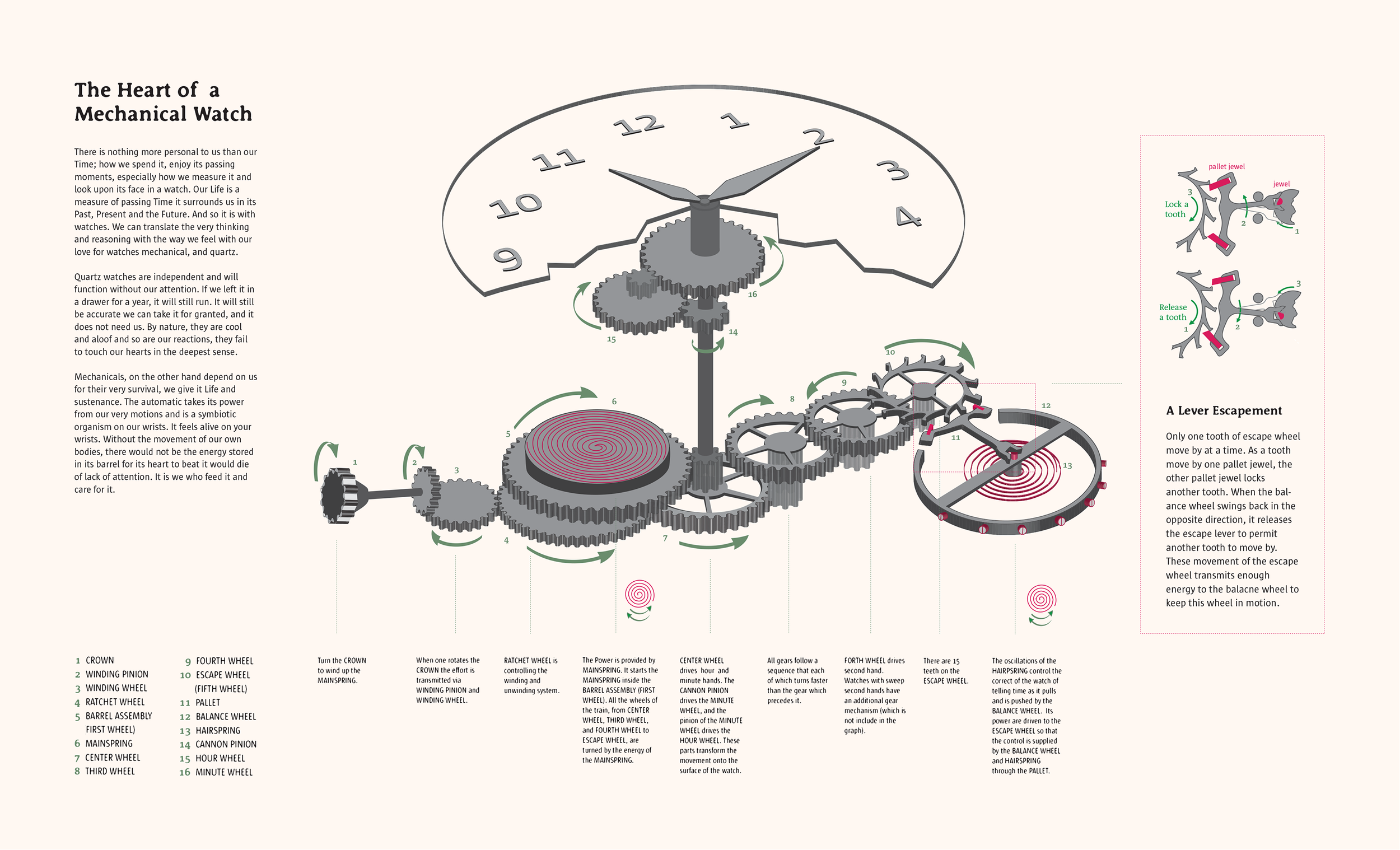 ei-how-to-infographic-watch-escapement.png