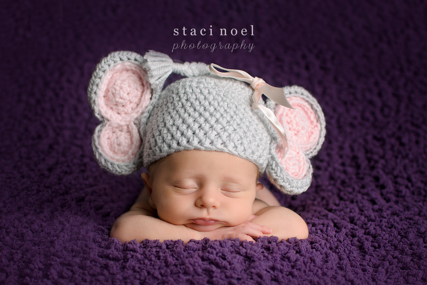 Charlotte NC newborn baby girl photographed Staci Noel Photography in elephant hat on purple blanket
