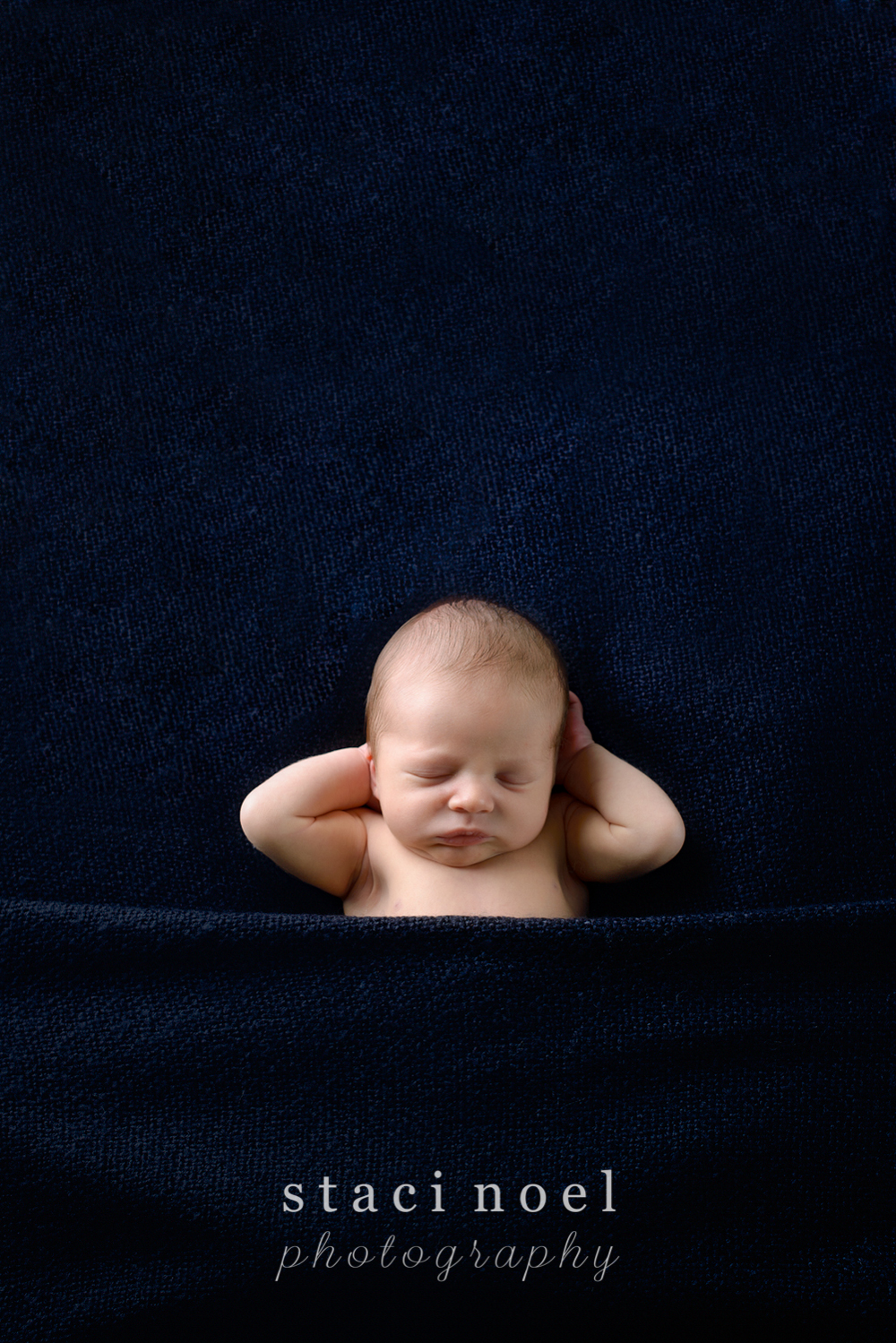 Charlotte NC newborn baby boy photographed by Staci Noel Photography sleeping on a navy blue backdrop