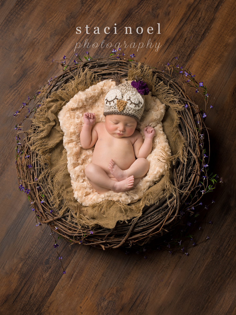 Harrisburg, NC newborn baby girl photographed by Staci Noel Photography in an owl hat in a wreath with purple flowers