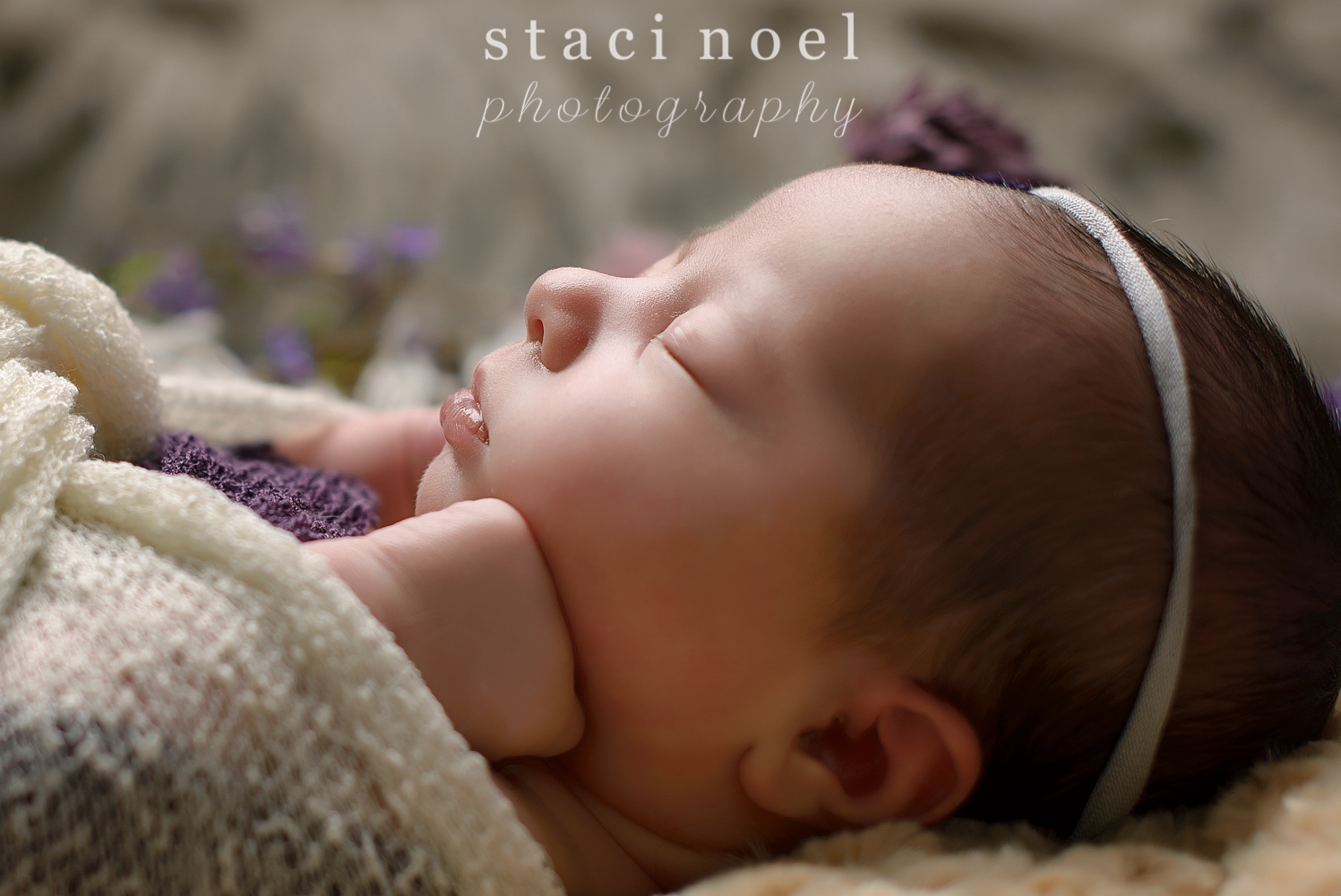 Indian Land SC newborn baby girl photographed by Staci Noel Photography in purple headband with flowers.