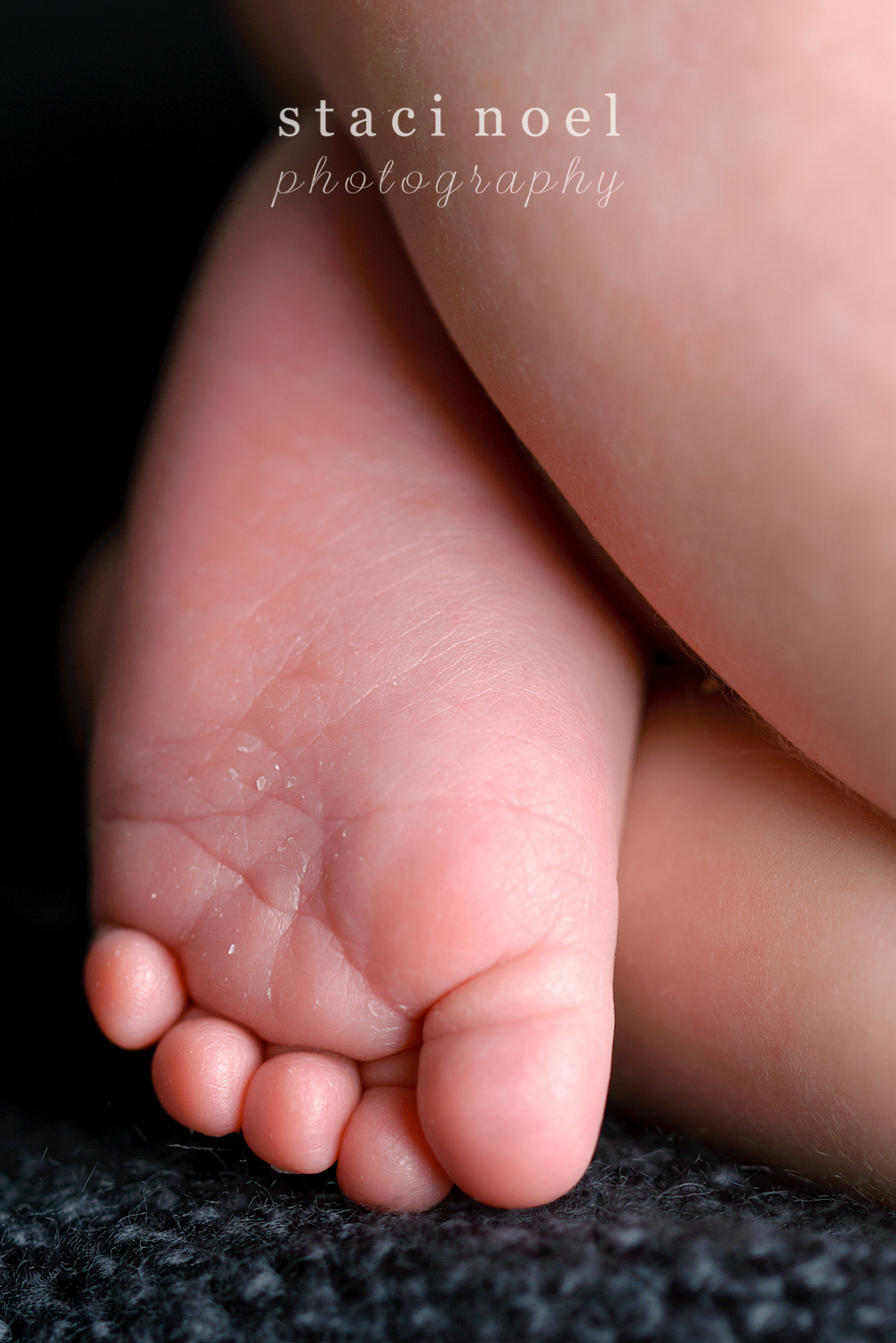 Charlotte NC newborn baby boy's tiny feet, macro details, shot by Staci Noel photography