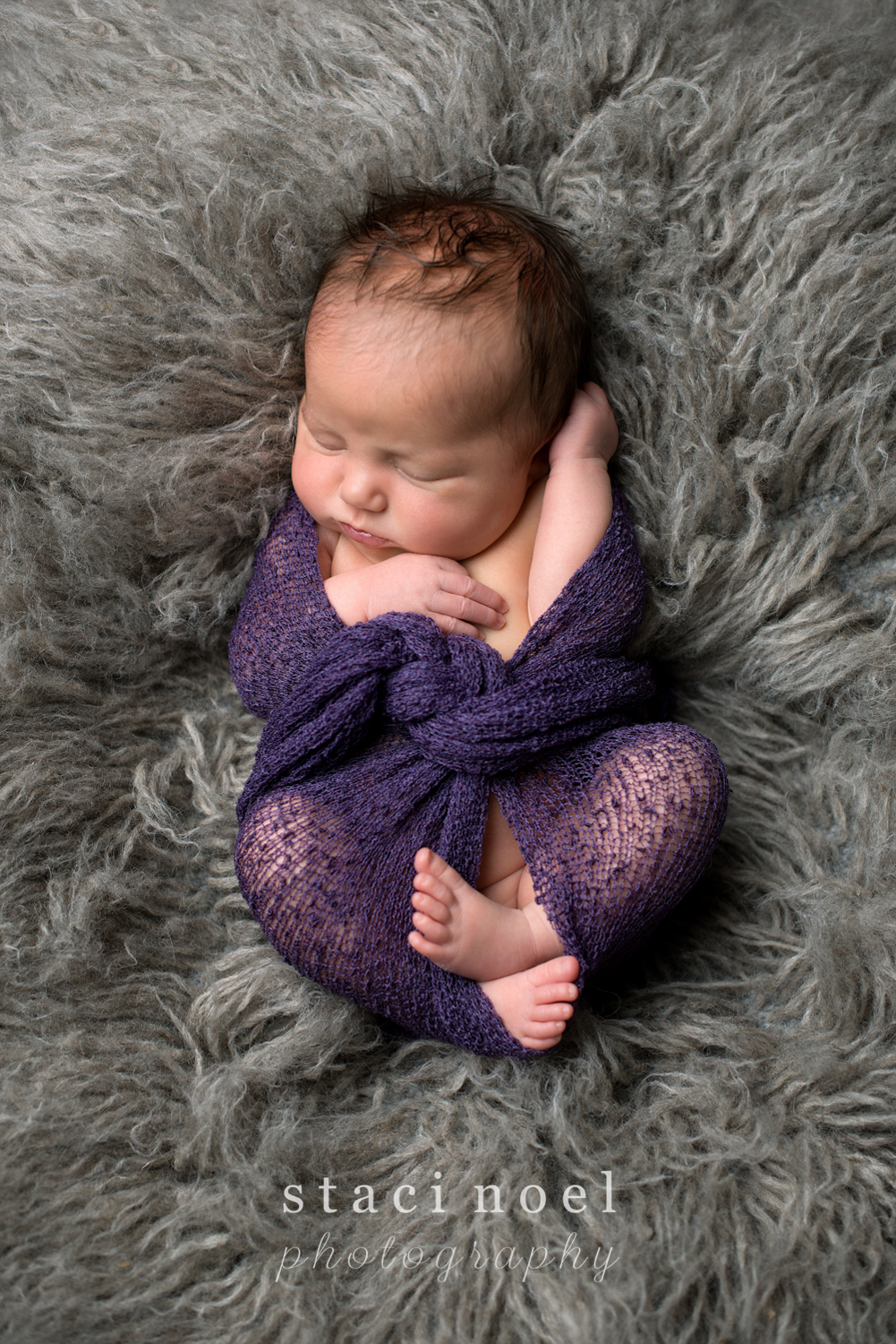 Harrisburg NC newborn baby girl photographed by Staci Noel photography in purple wrap on grey flokati