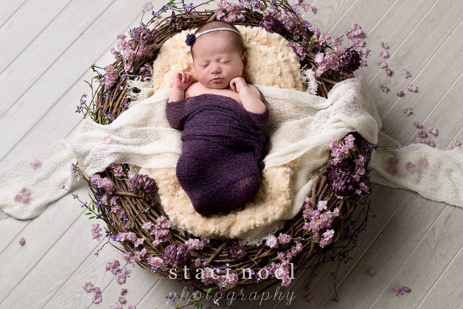 Charlotte NC newborn baby girl photographed by Staci Noel photography with purple wrap in nest with purple flowers
