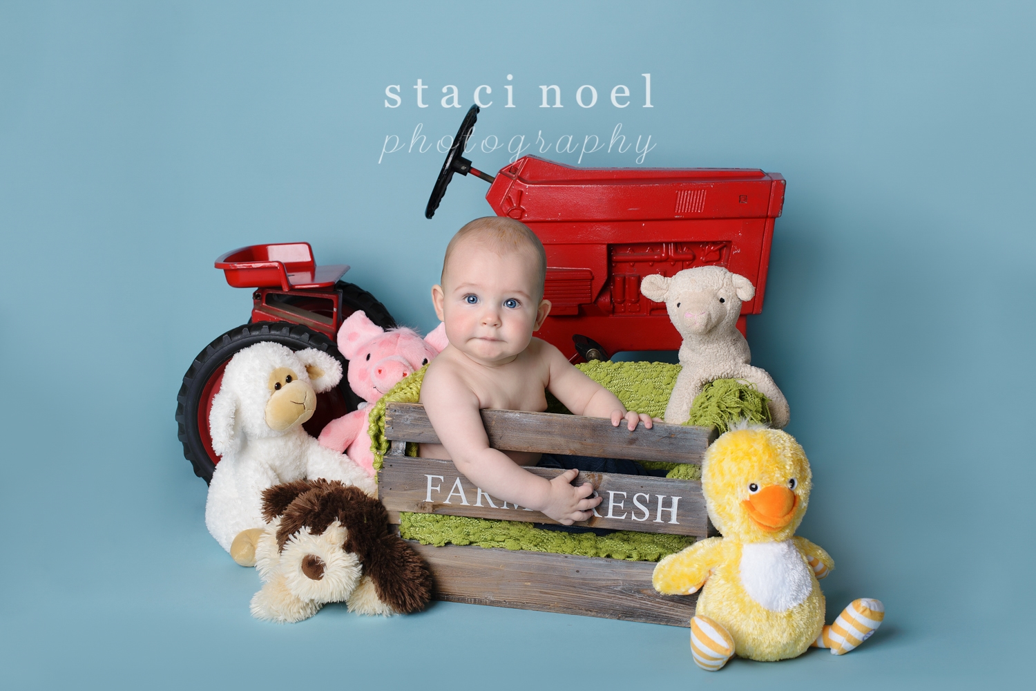 Charlotte NC Newborn & Baby Photographer | Staci Noel Photography1-23.jpg