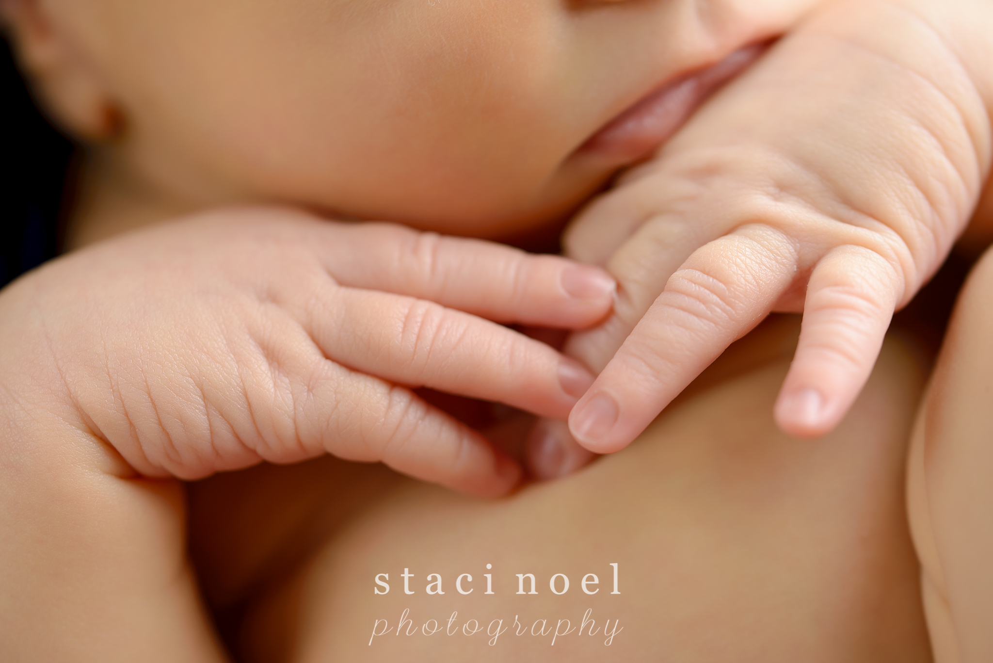 staci.noel.photography.newborn.boy.charlotte.nc12.jpg