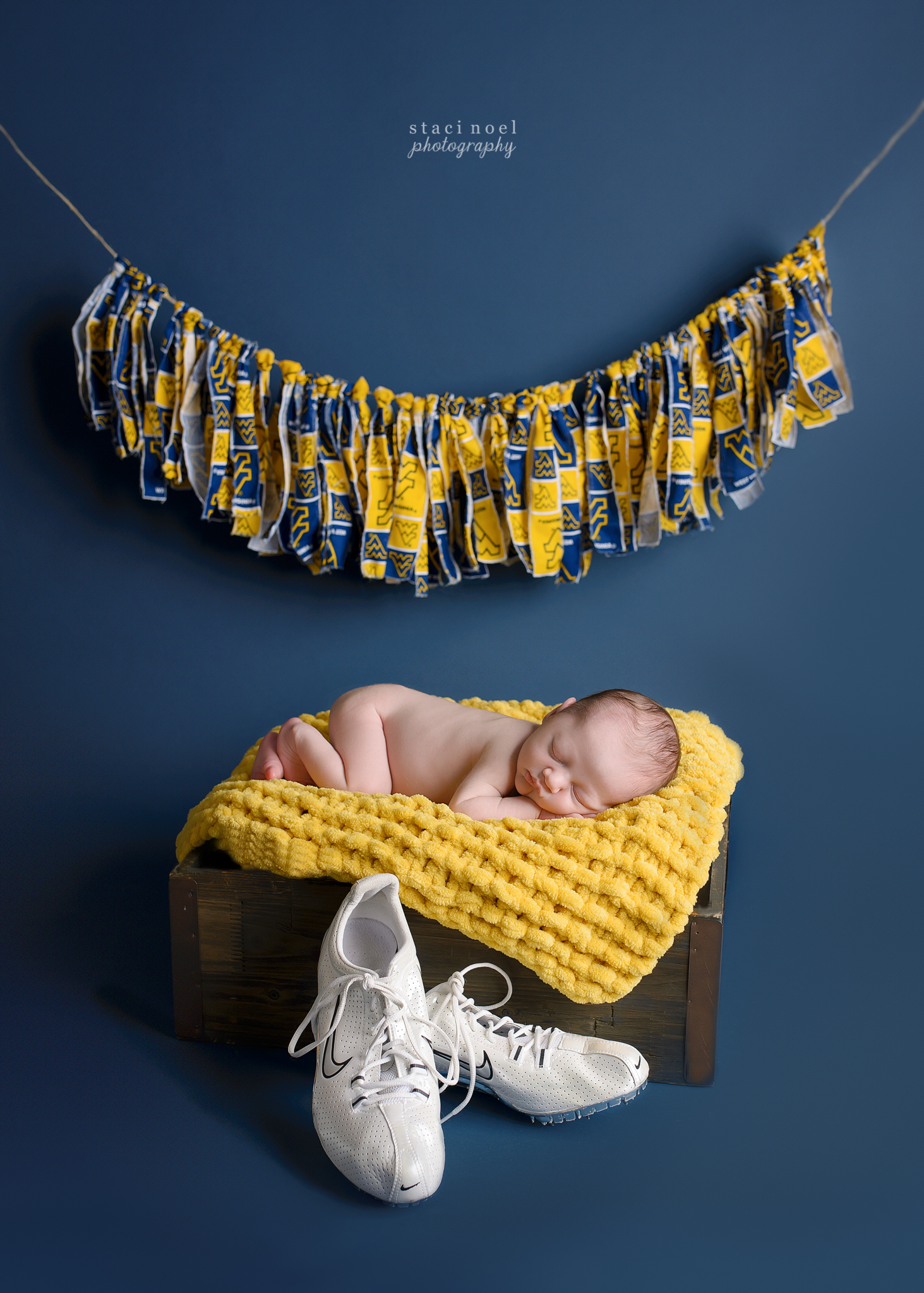 harrisburg newborn photography nc