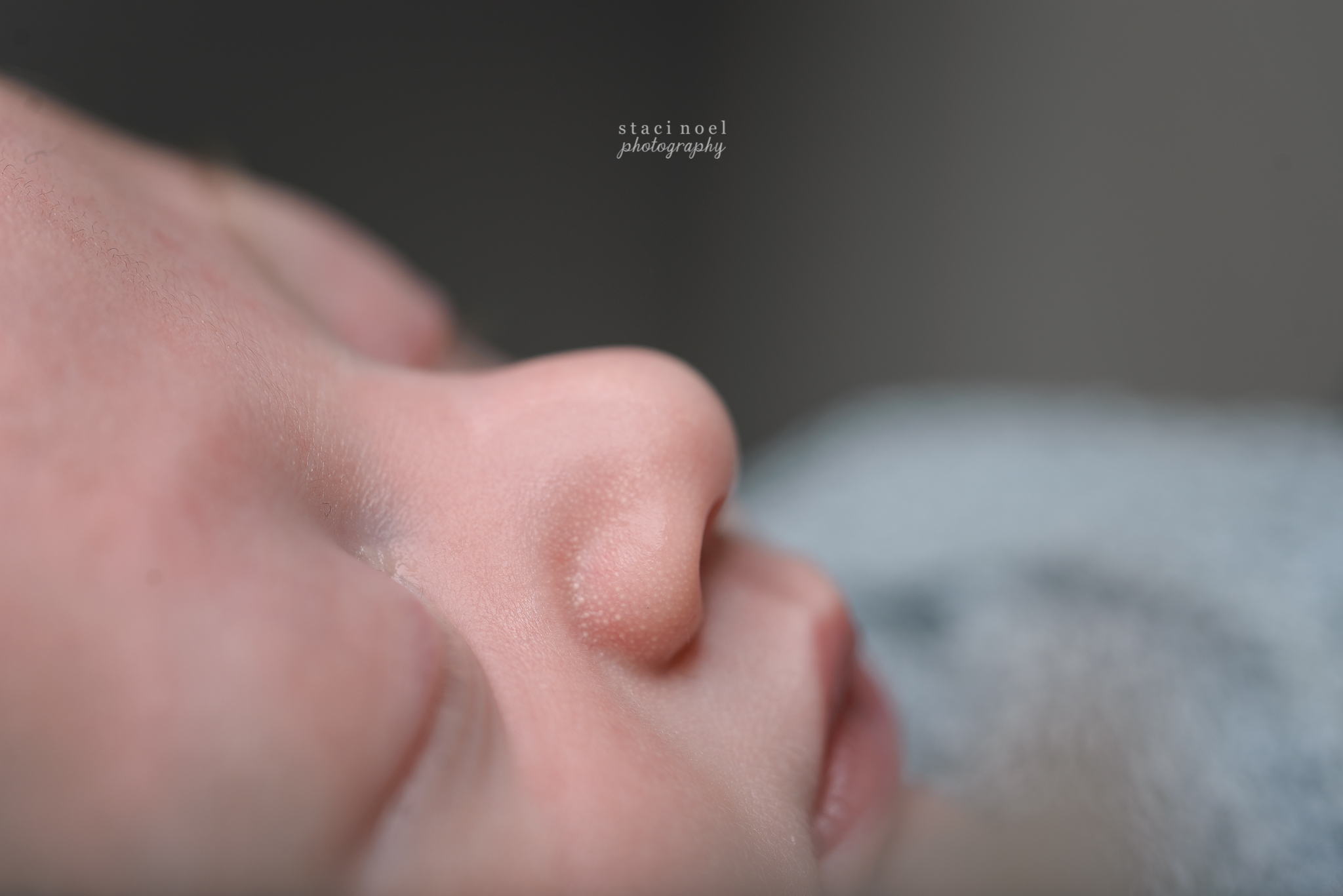 charlotte newborn photography details
