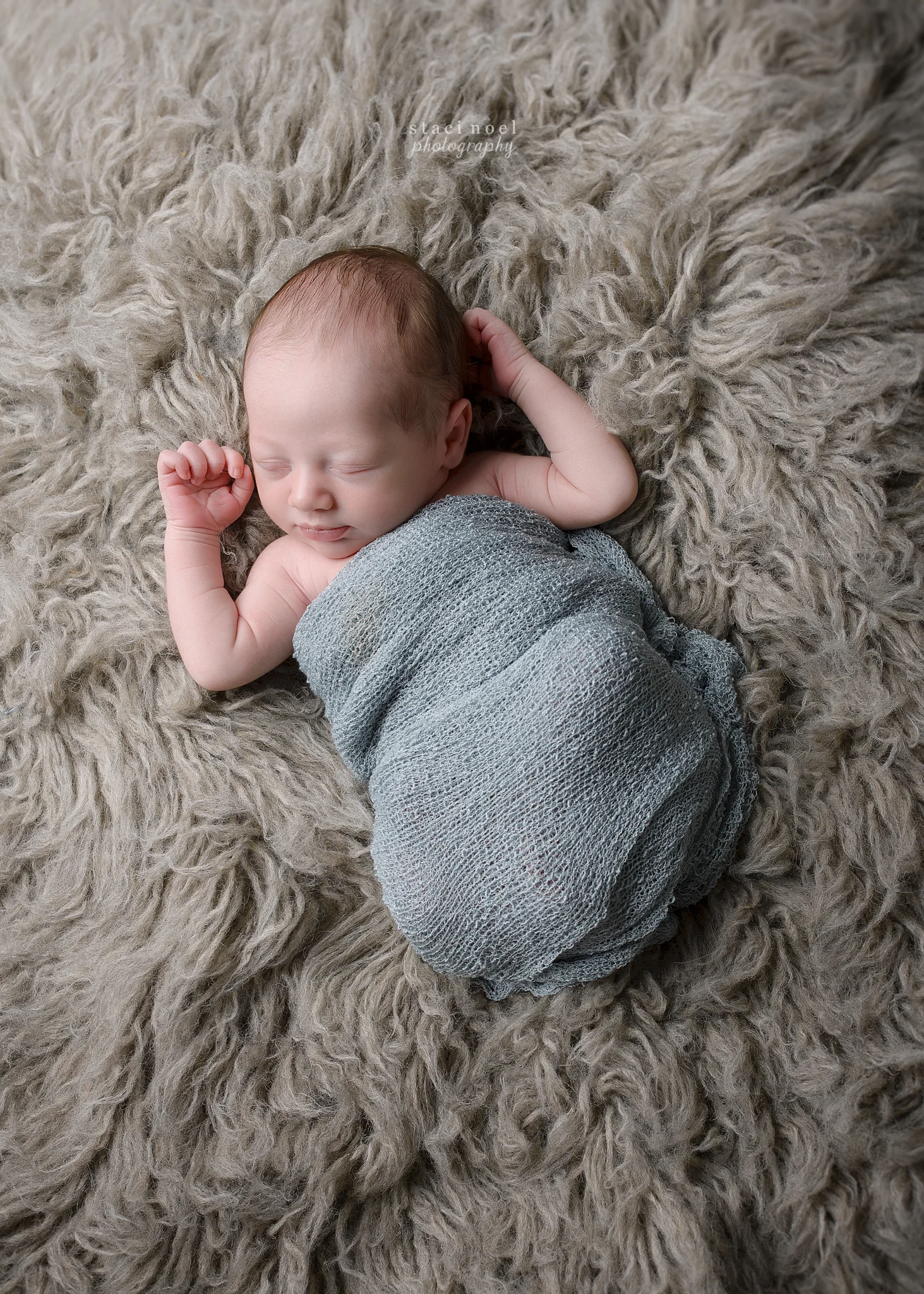 charlotte newborn photographer 3