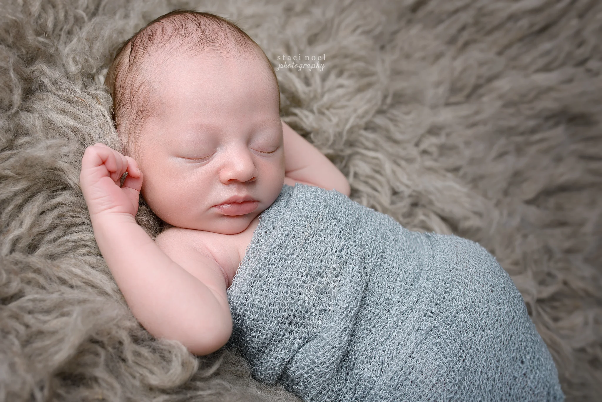 north carolina newborn photographer