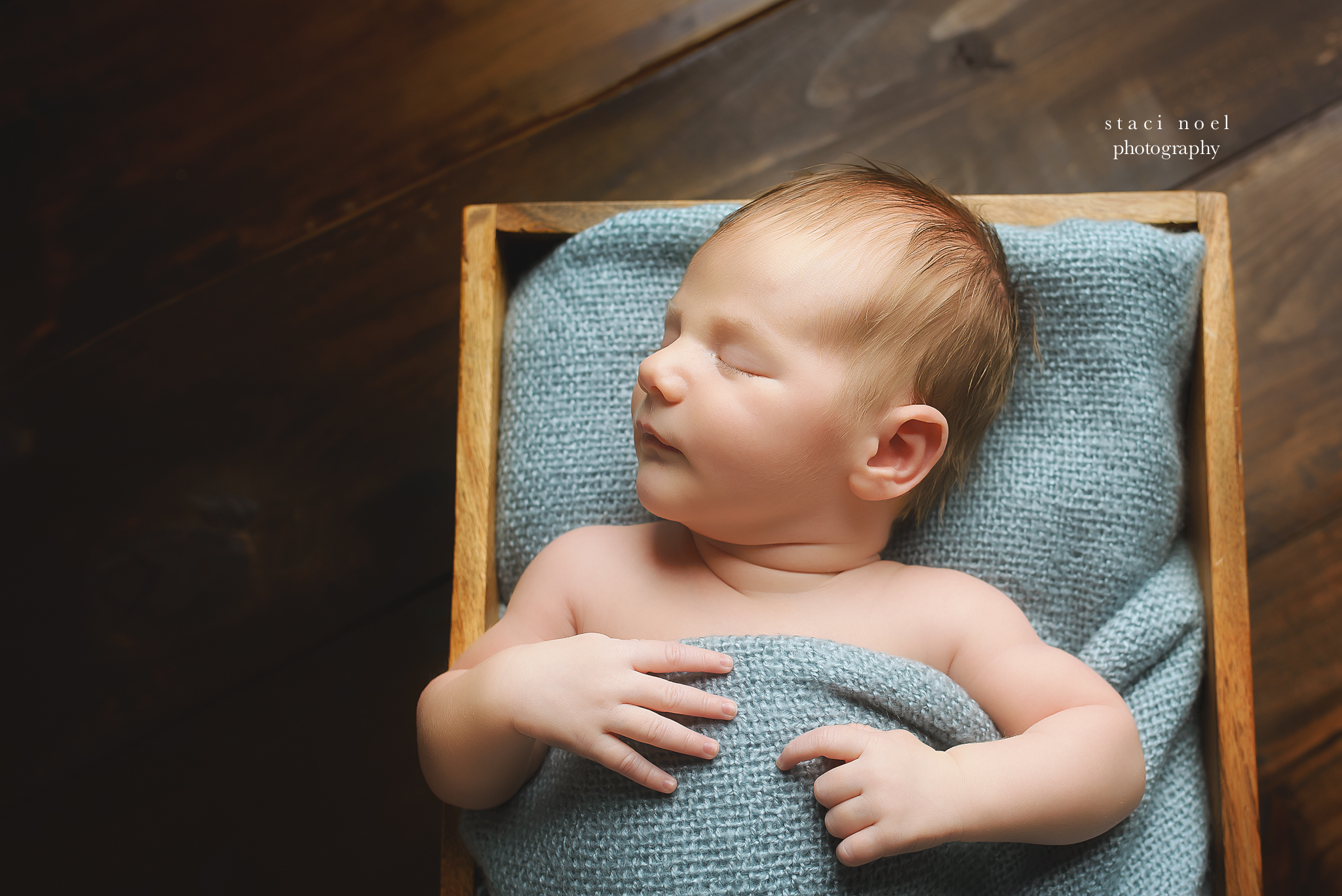 charlotte nc newborn photography