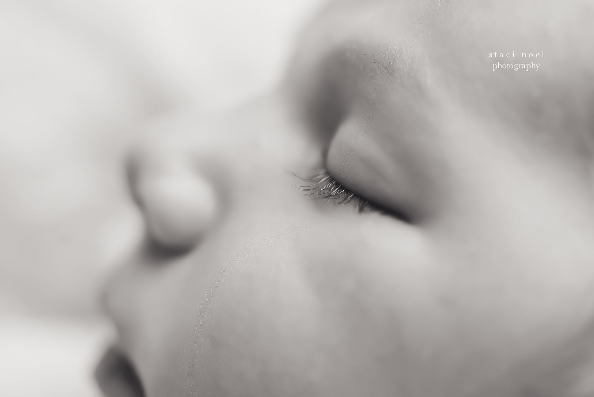 charlotte newborn photography black and white