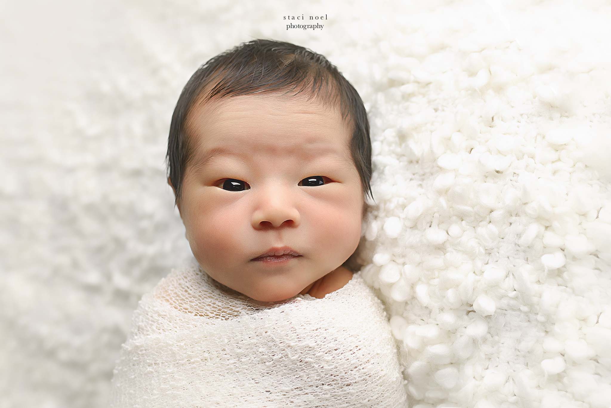 charlottenc.newbornphotographer.stacinoelphotography.8.jpg