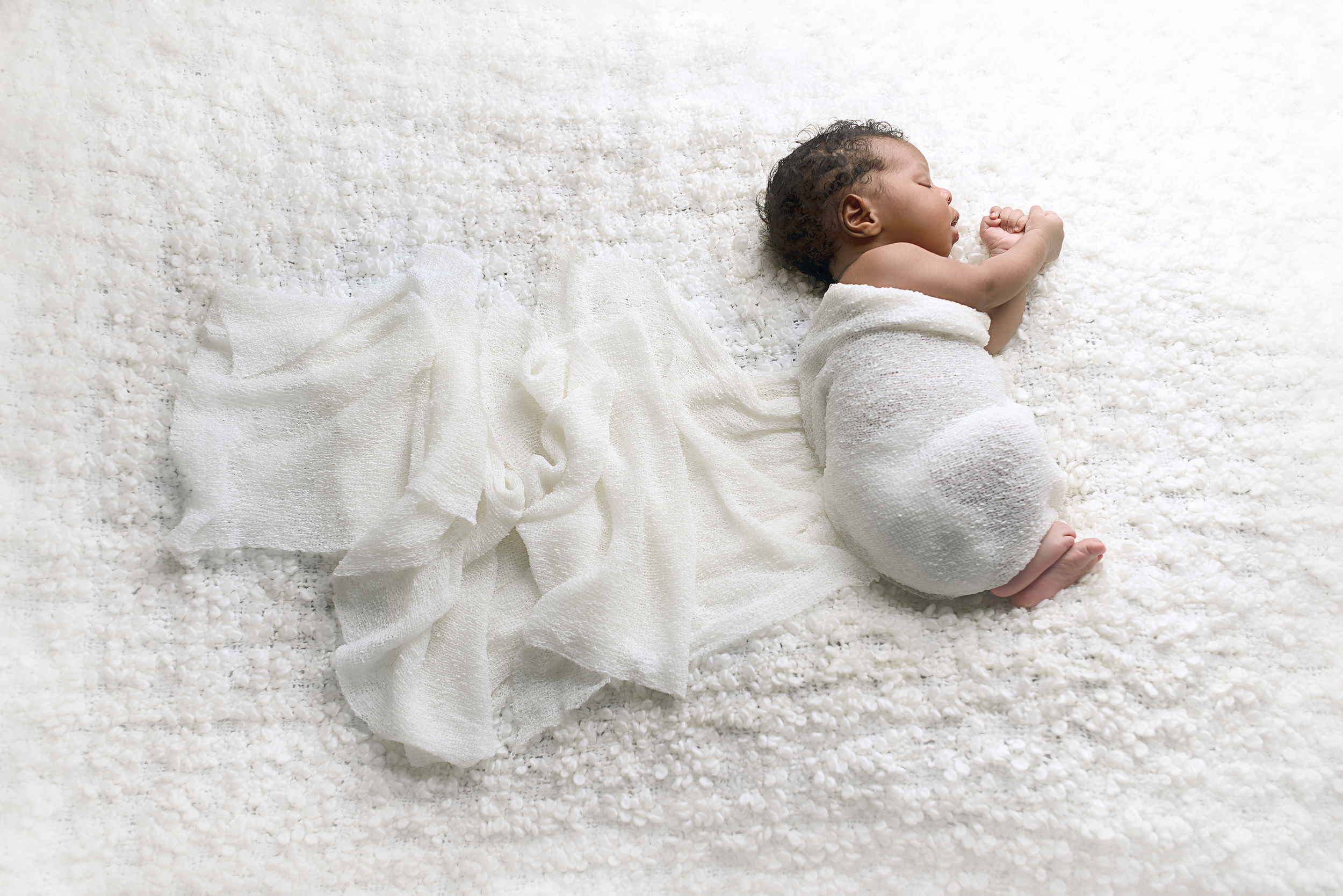 charlotte nc newborn photographer | staci noel photography