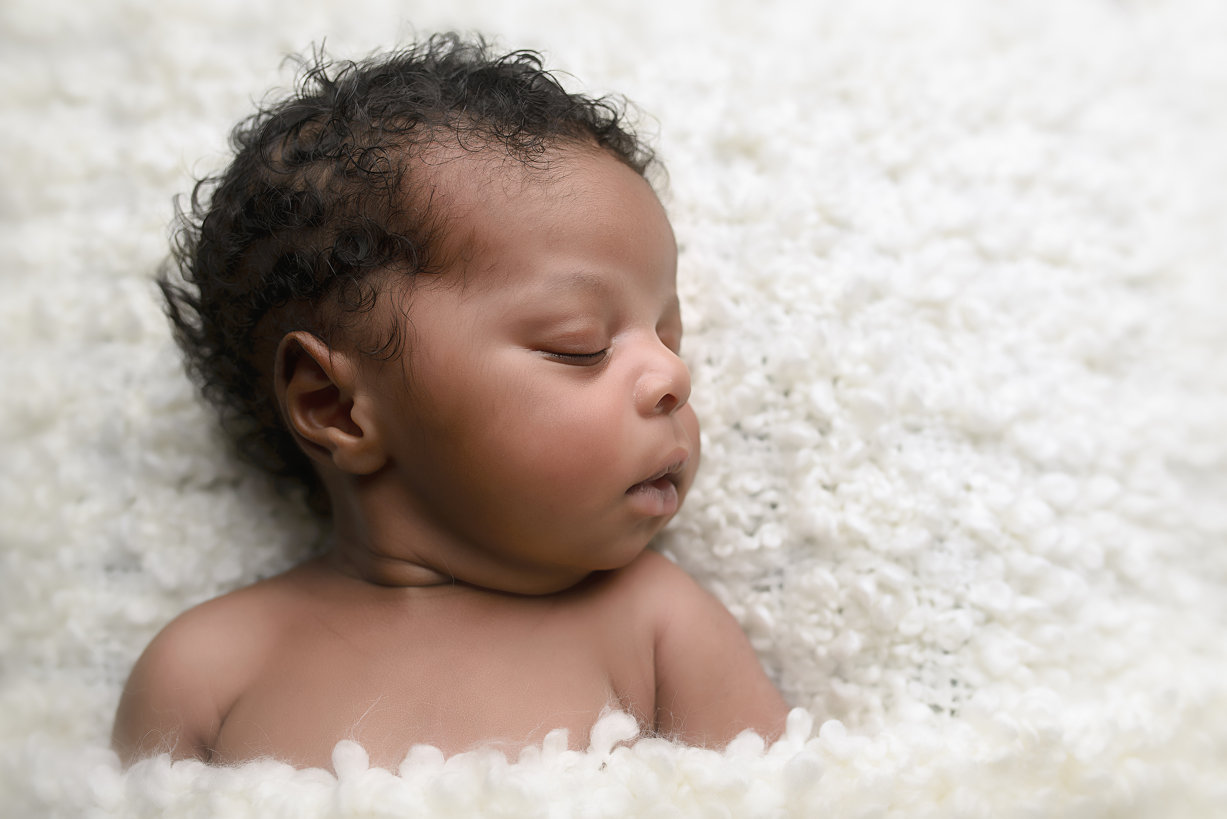 charlotte nc newborn photographer | staci noel photography