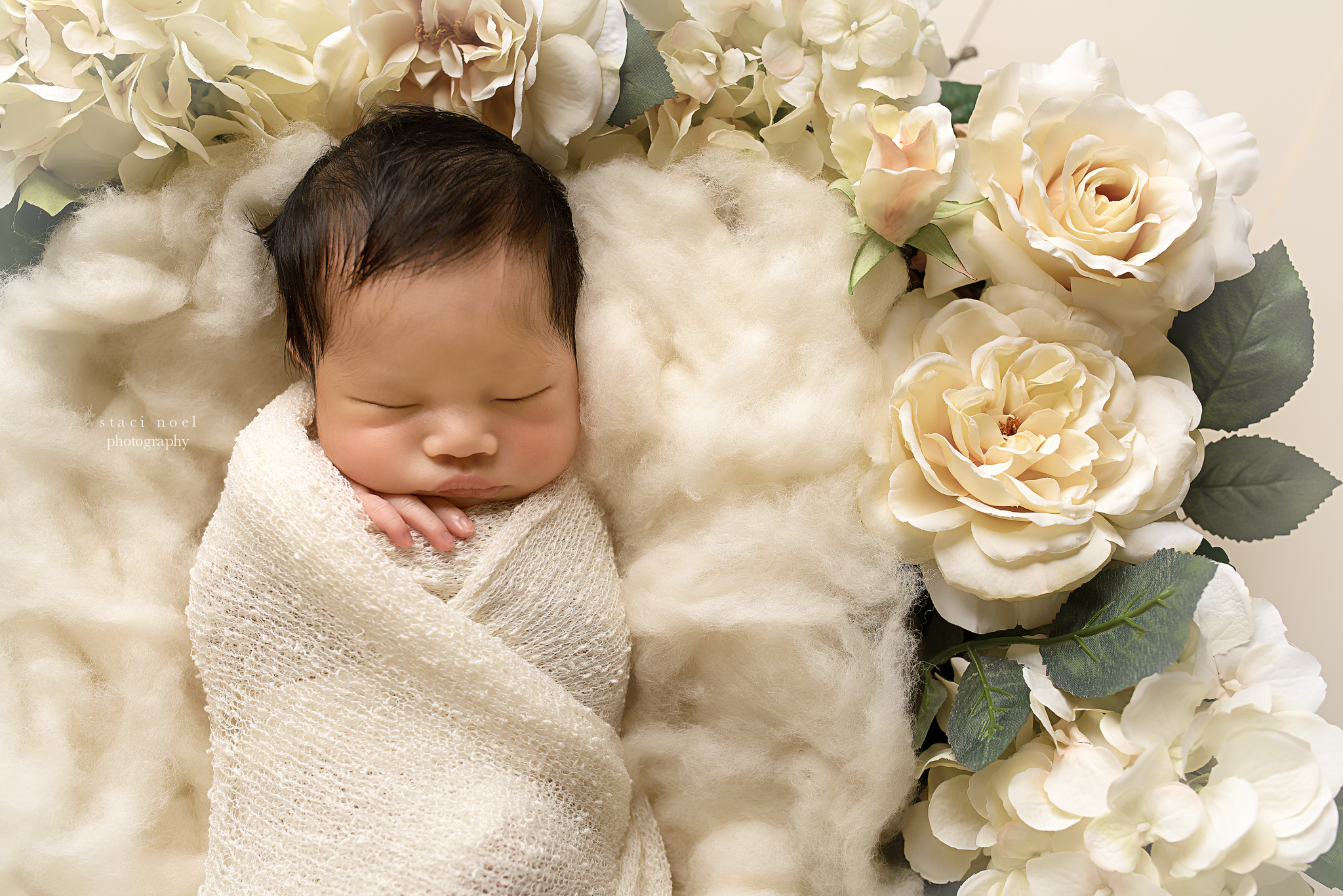 charlotte newborn photography baby girl and flowers
