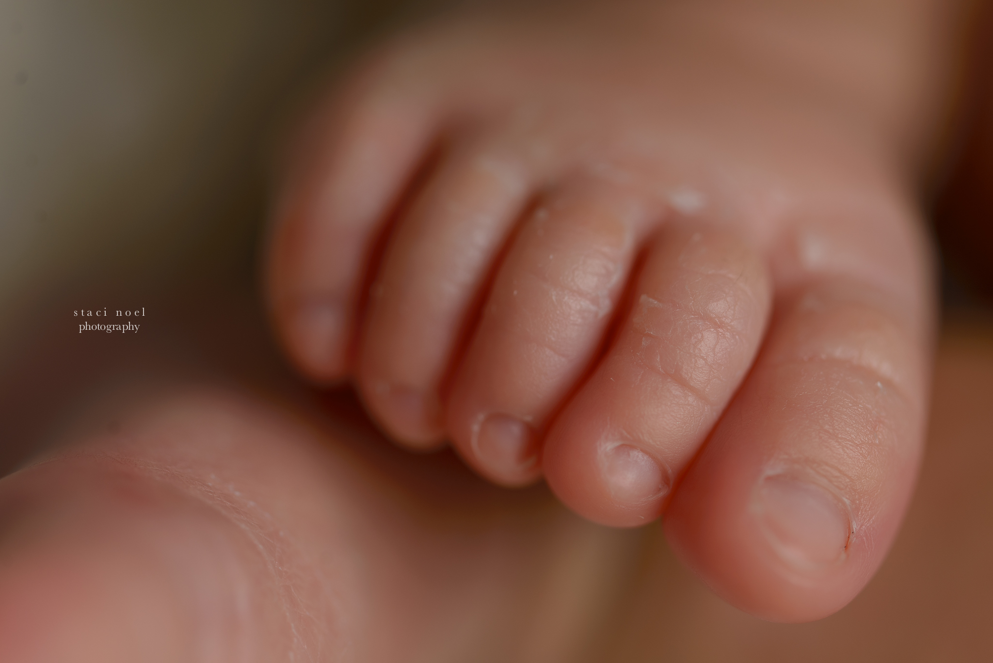 charlotte newborn photography baby girl toes