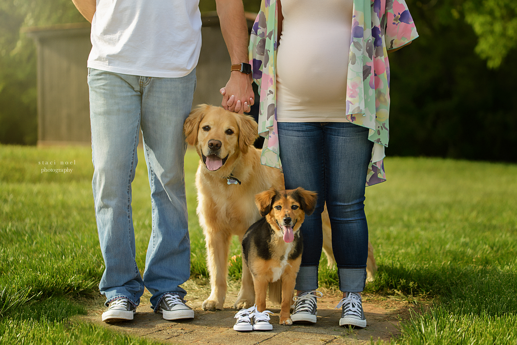 charlotte maternity photographer