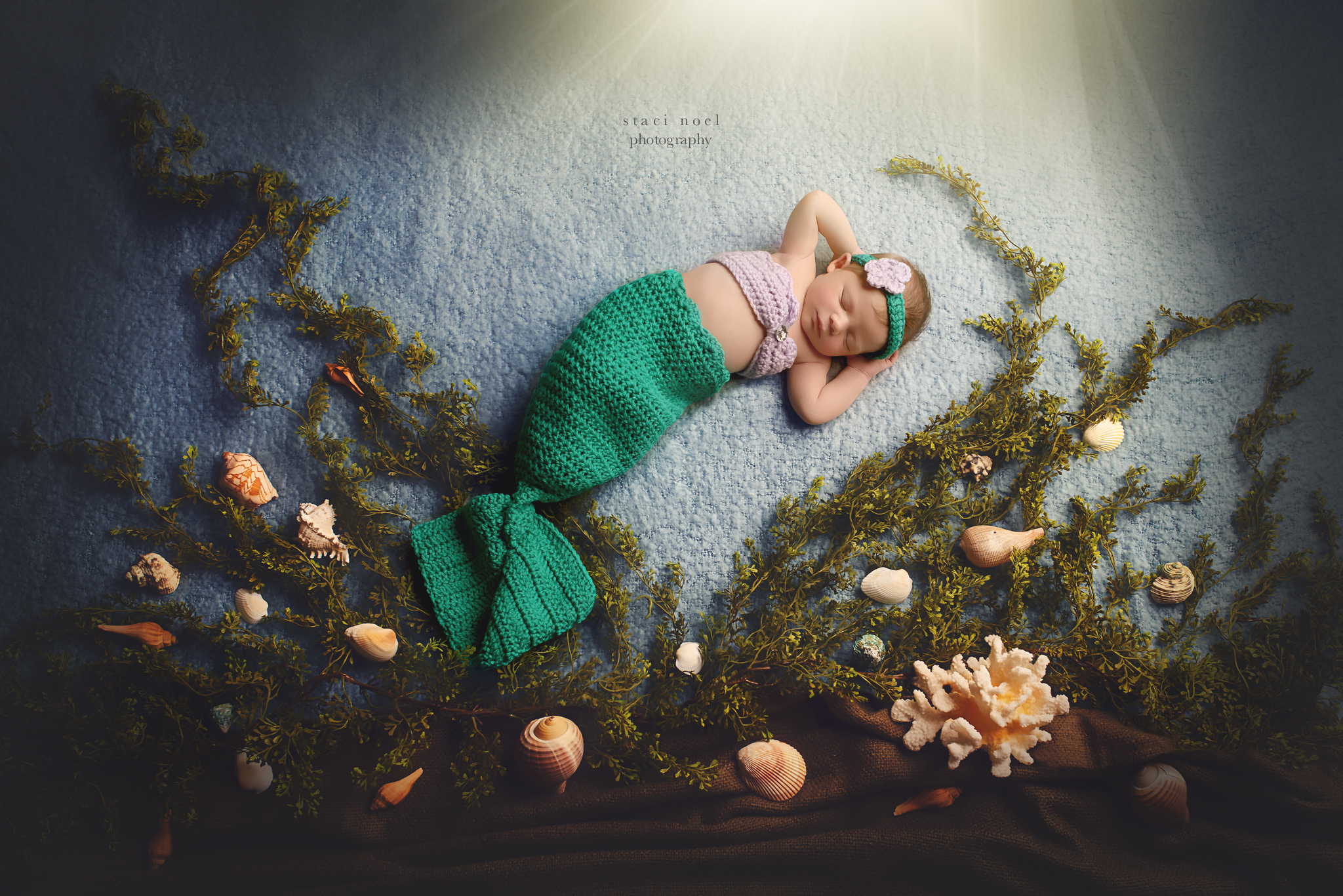 charlotte newborn photographer | mermaid newborn
