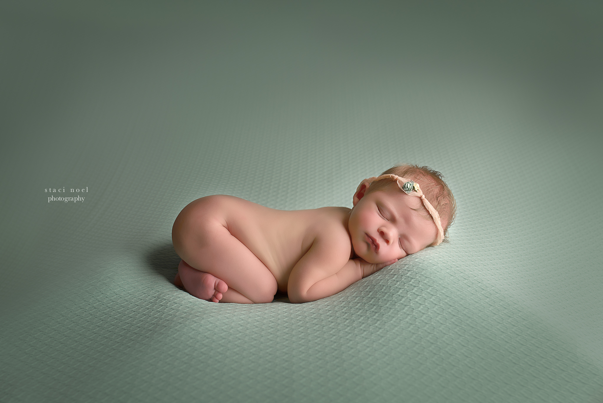 charlotte newborn photography staci noel