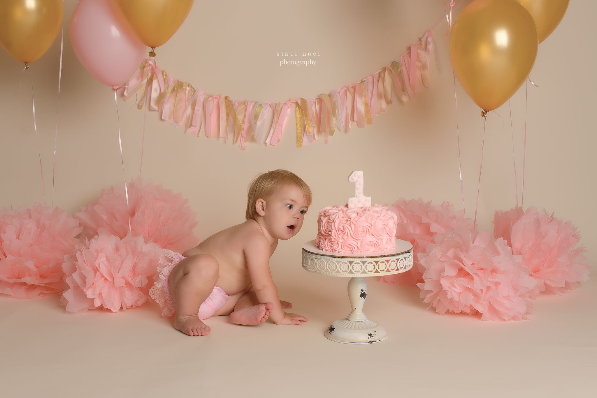 The Sweetest Baby Girl  First Birthday Cake Smash in Charlotte Area