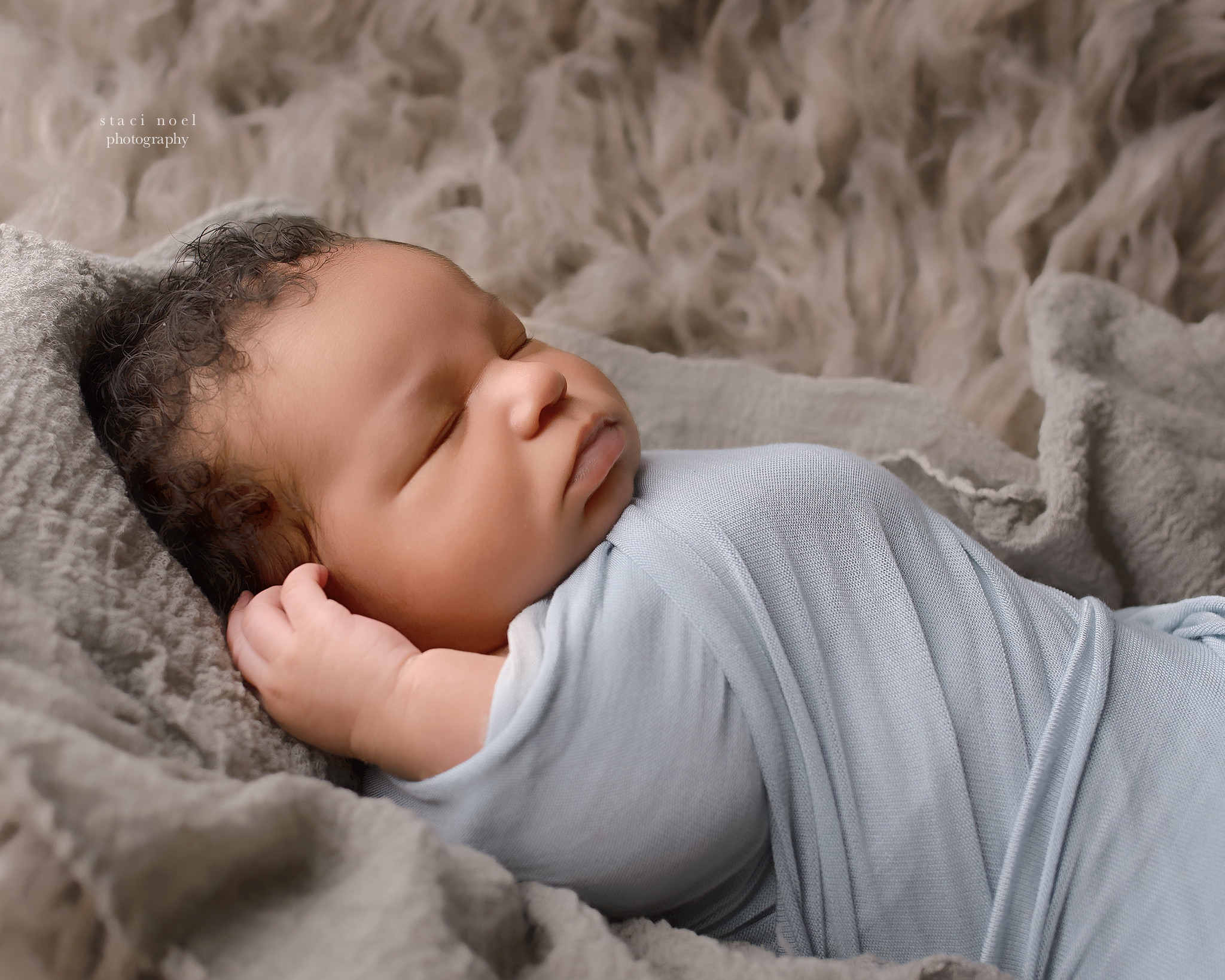 charlotte newborn boy portraits