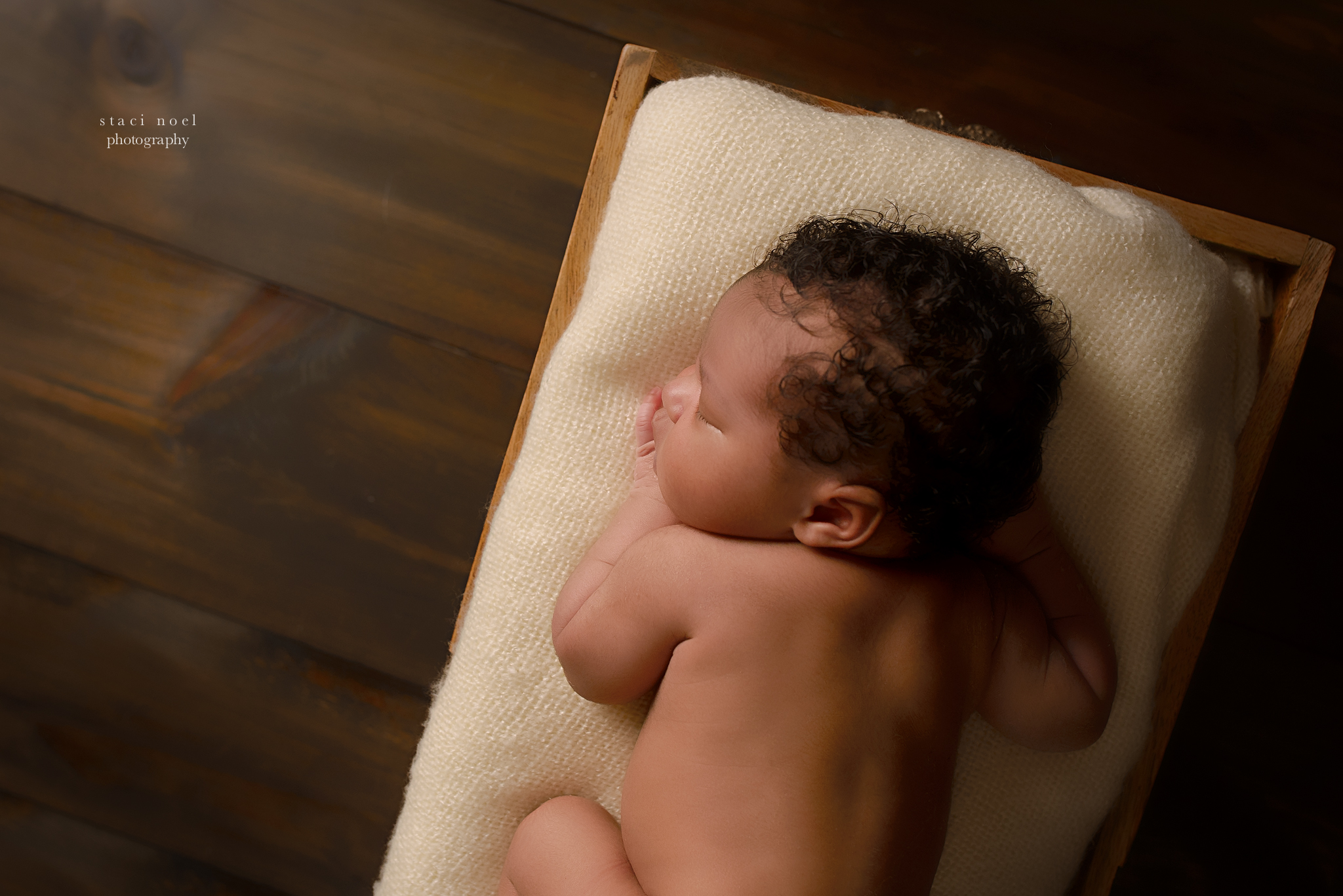 charlotte newborn portraits