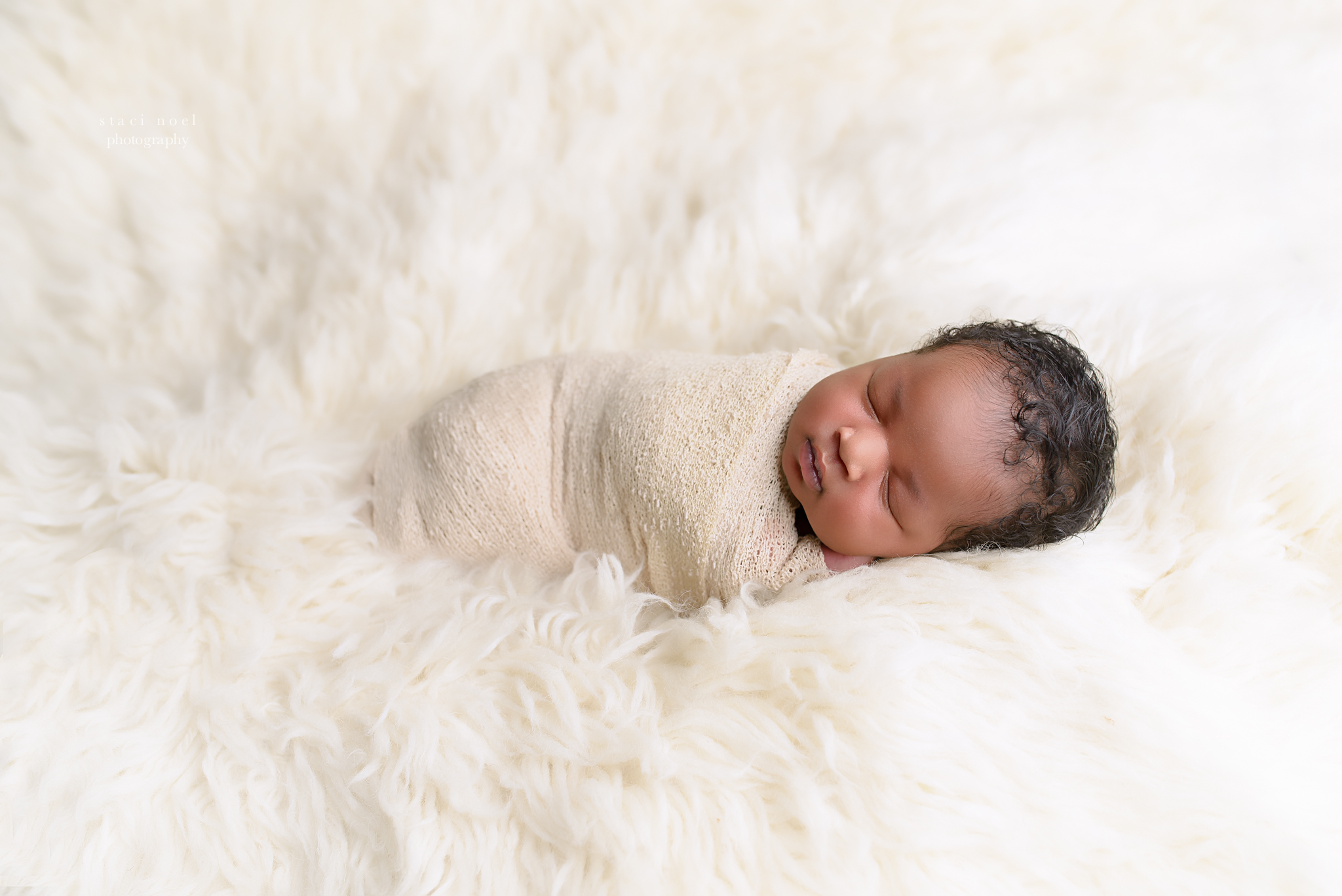 concord newborn photography staci noel