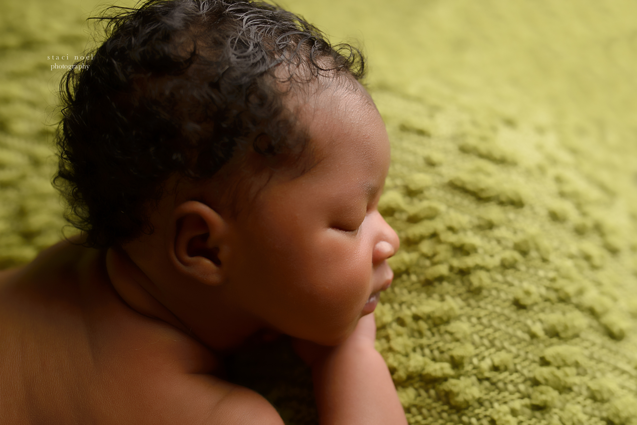 charlotte baby girl newborn portraits