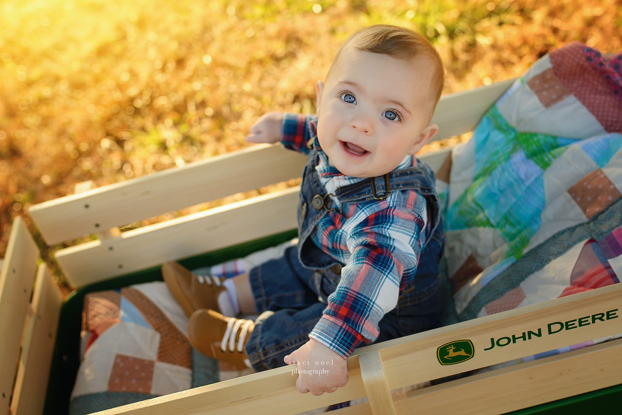 charlotte baby photographer