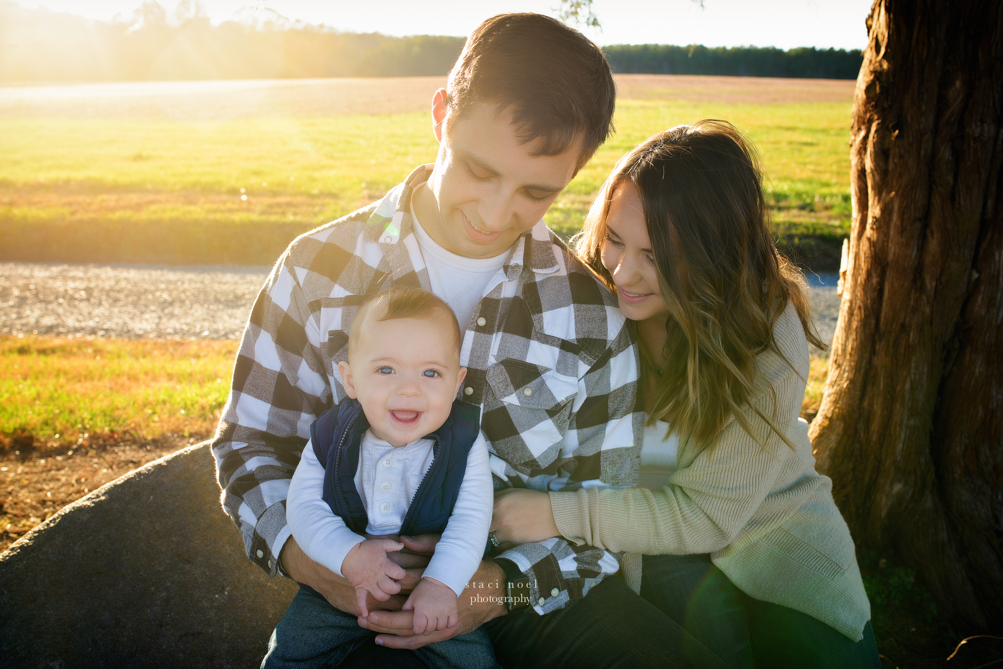 6 month portrait family image staci noel