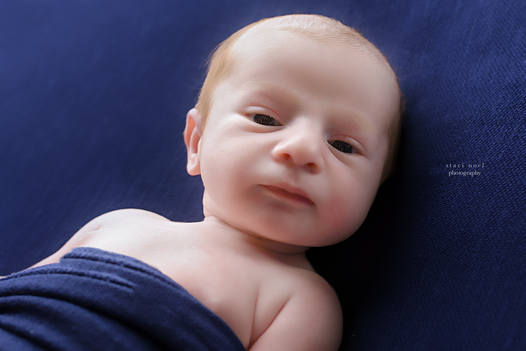 charlotte newborn photographer baby boy on blue