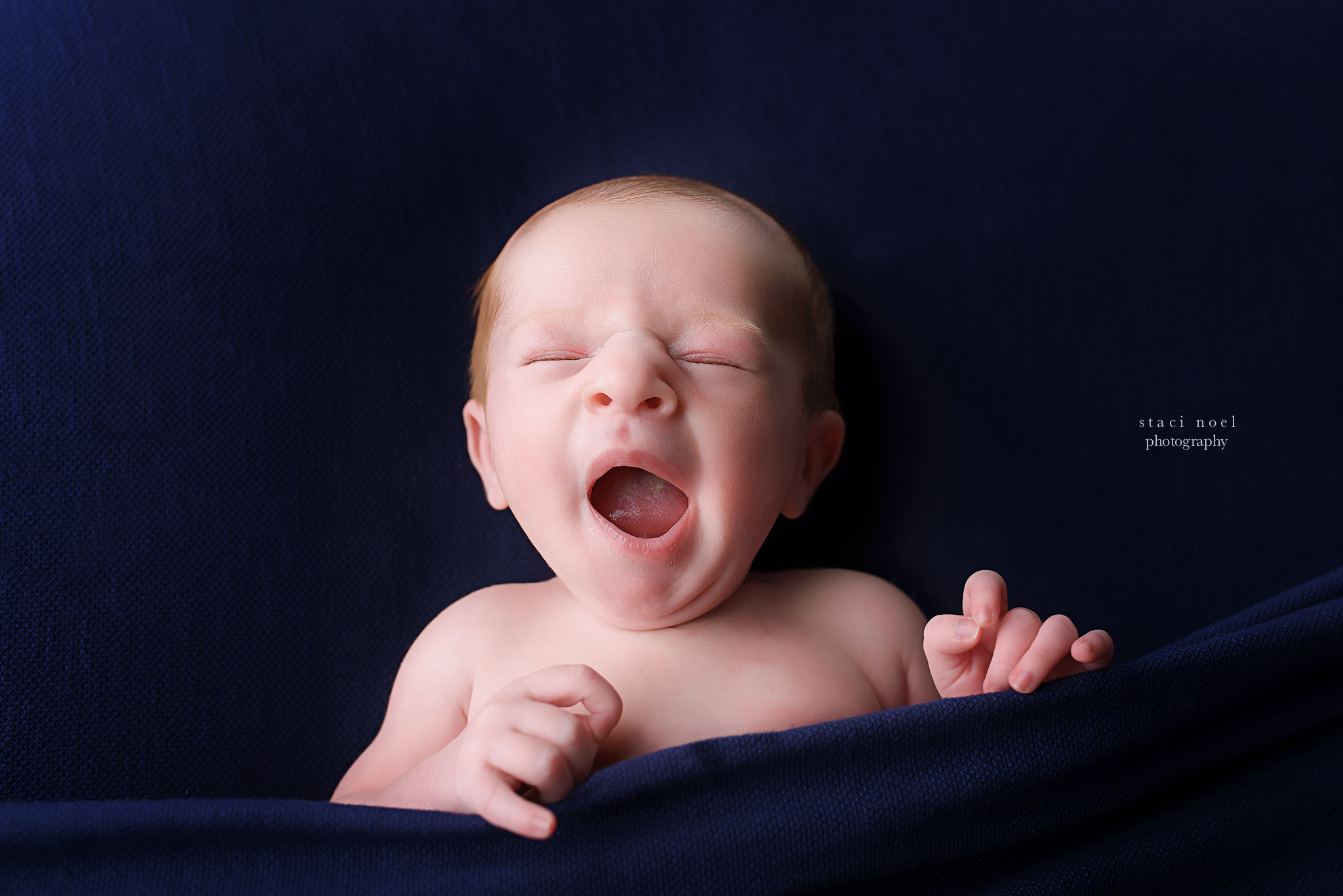 charlotte newborn photographer baby boy on blue 