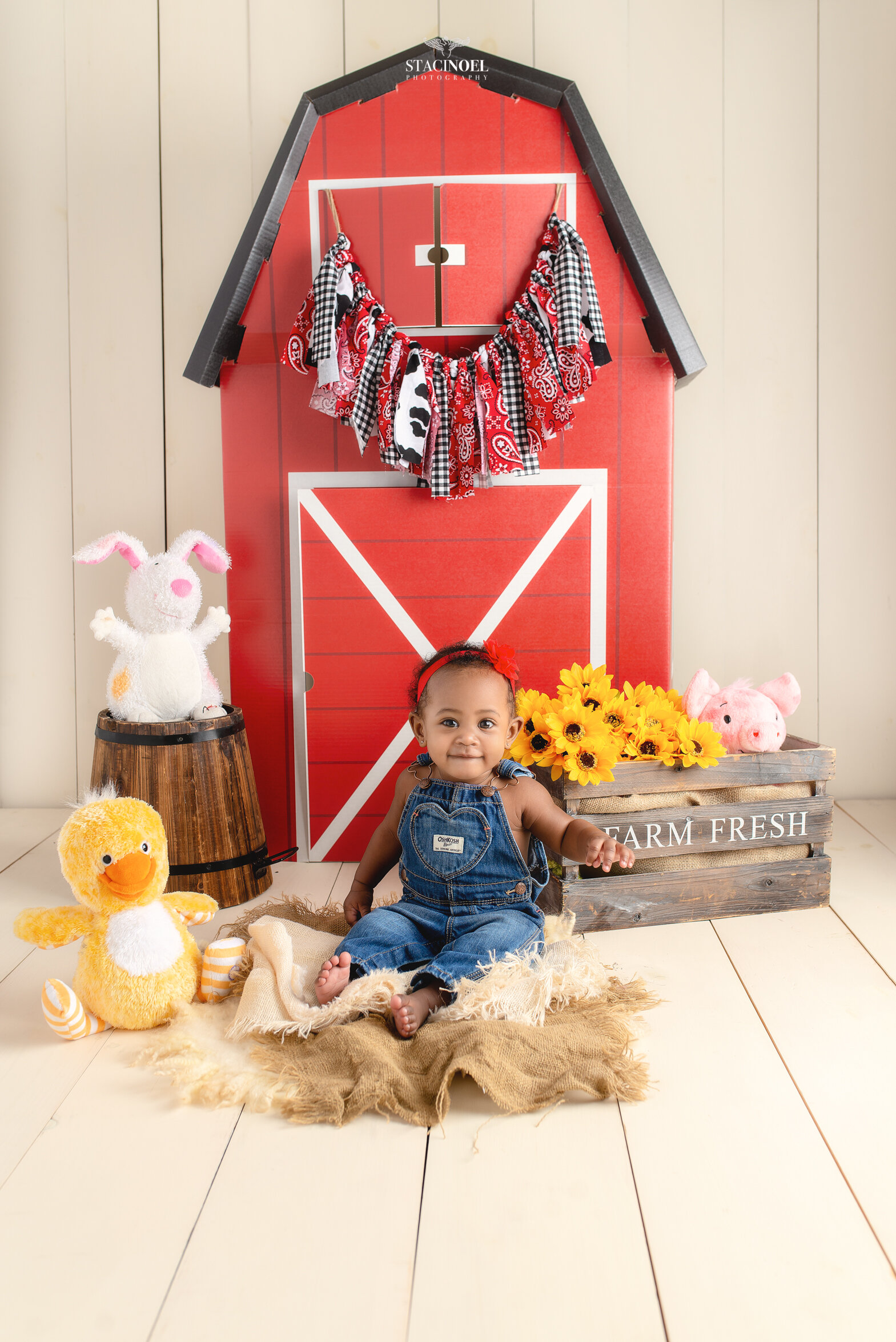 Harrisburg nc baby photographer Staci Noel photography