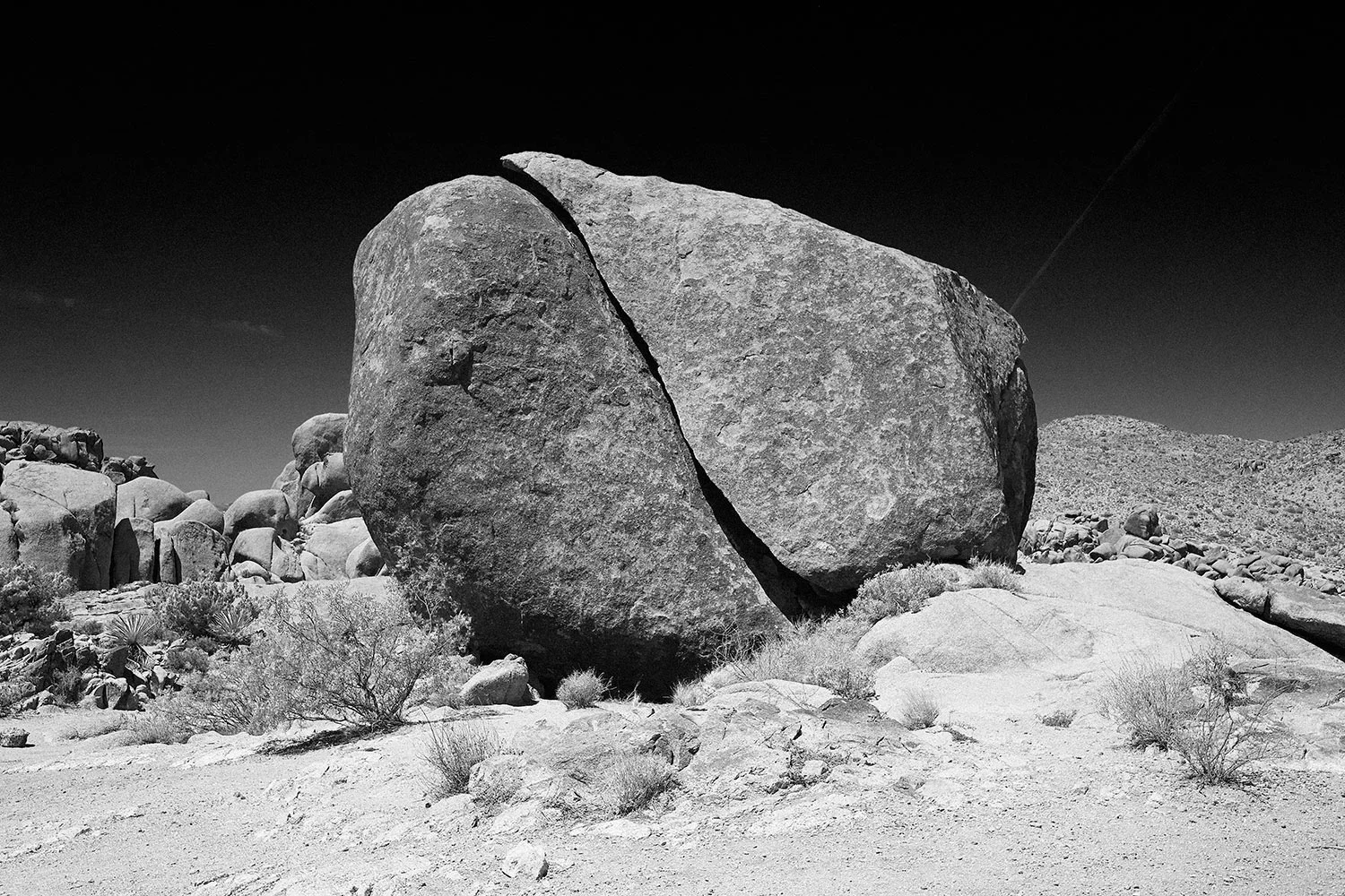 christopher+tovo+photographer+joshua+tree+blacknwhite