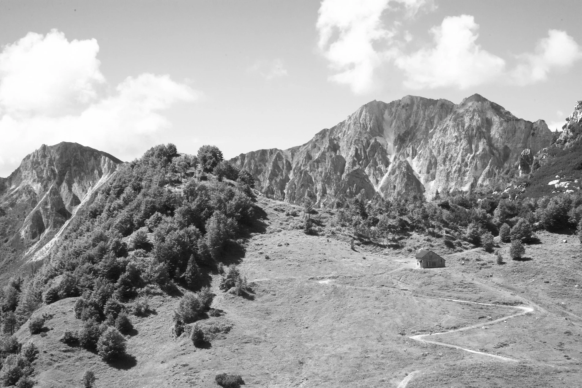 Vicenza-196.jpg