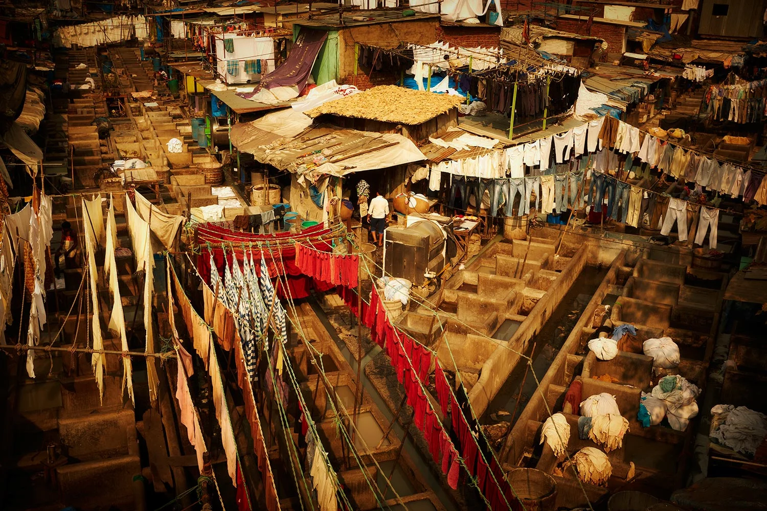 India_4_130.jpg