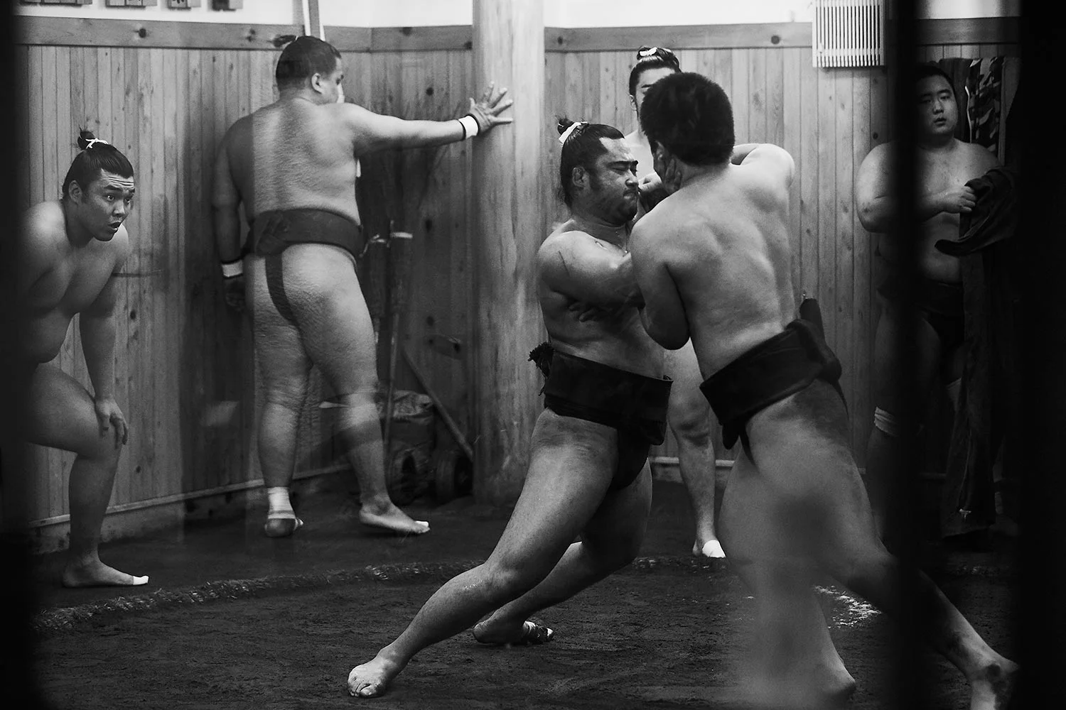 SUMO_042-1.jpg