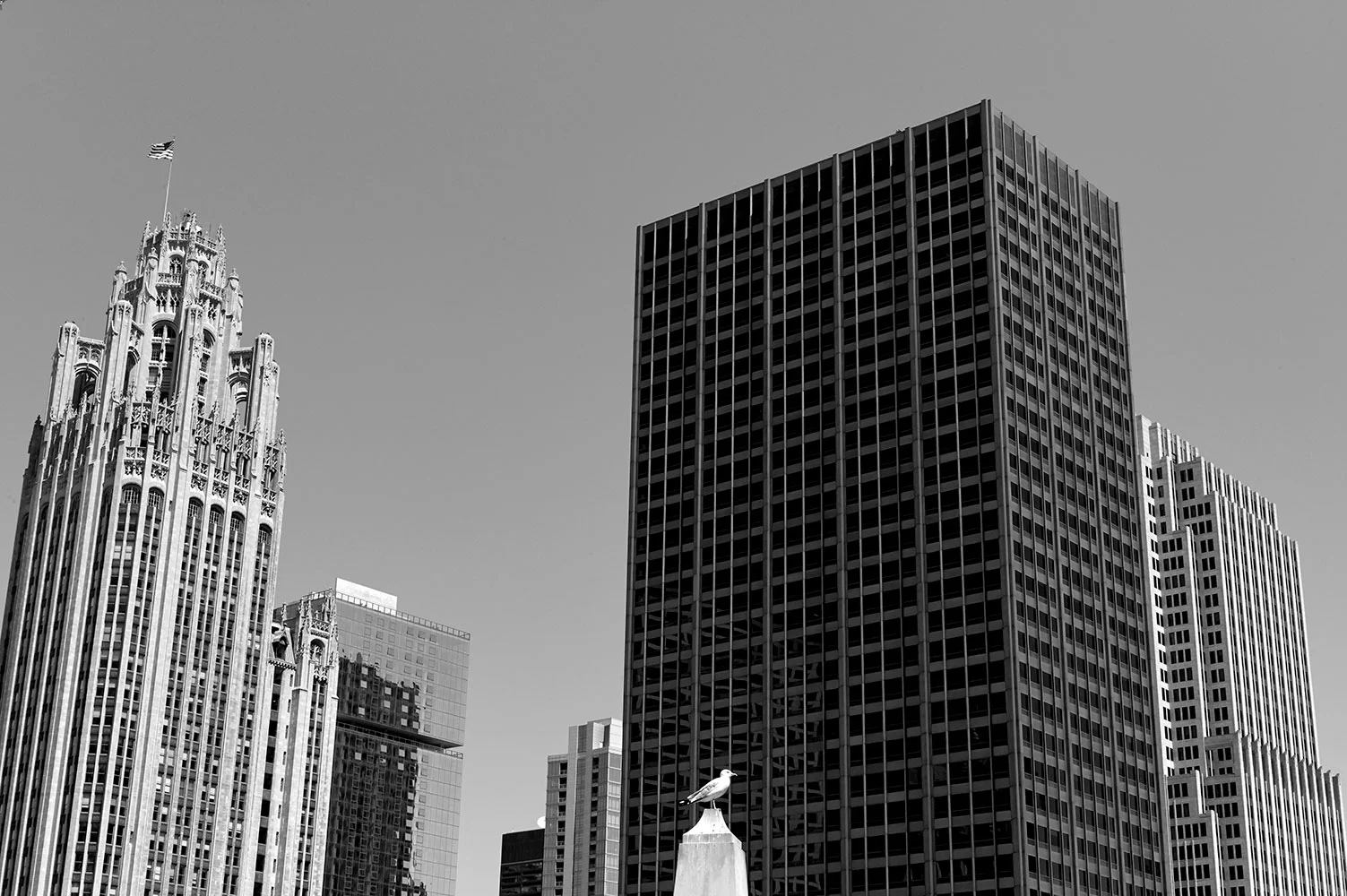 USA-2013-139-1.jpg