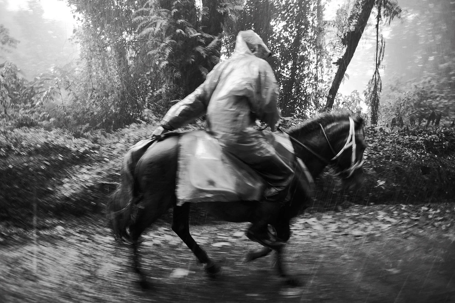 Tovo_Bandung071001_266.jpg