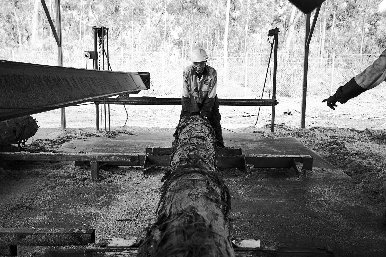 20170406_ArnhemLand_323.jpg