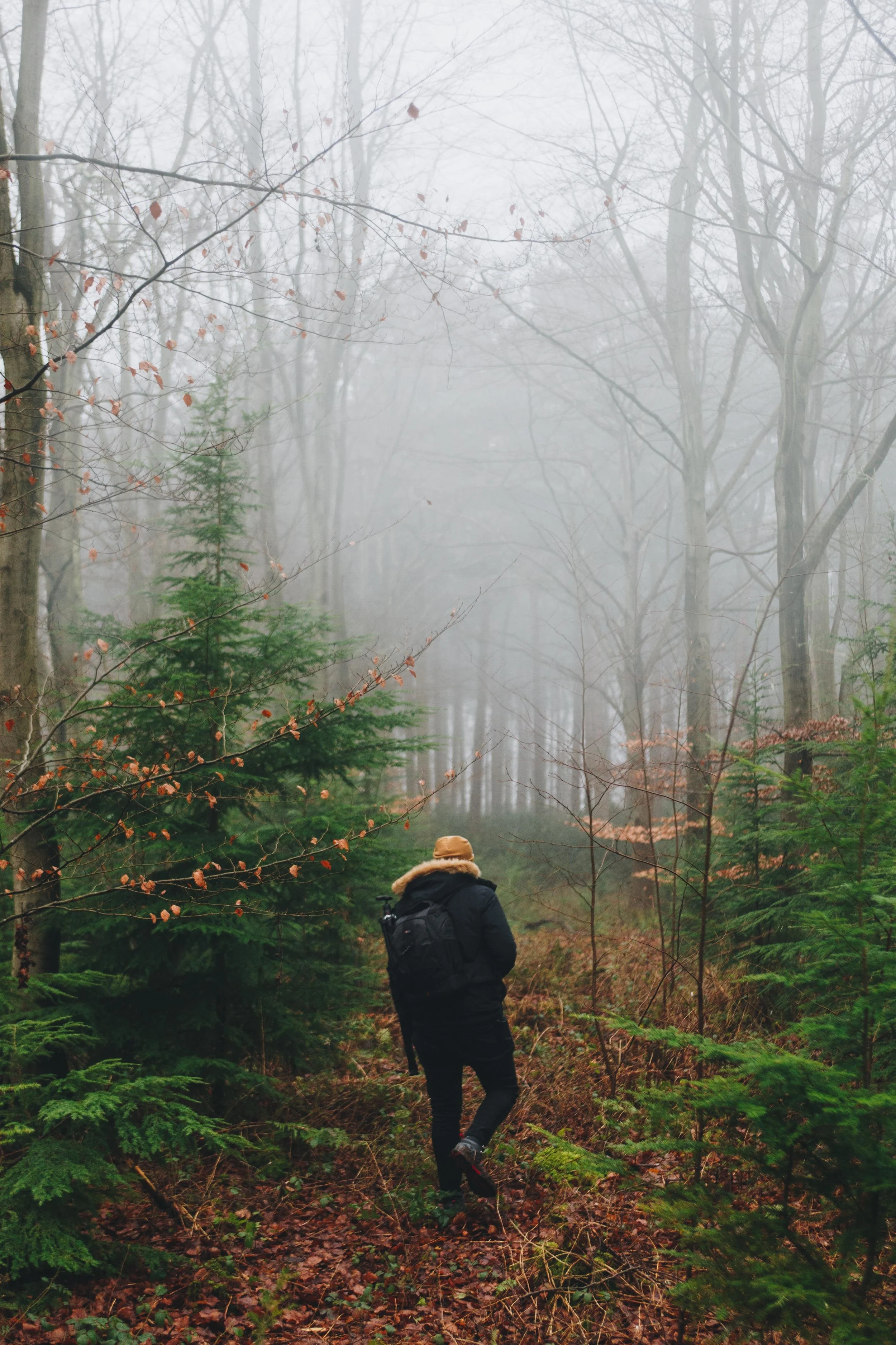 luke-porter-511286-unsplash.jpg